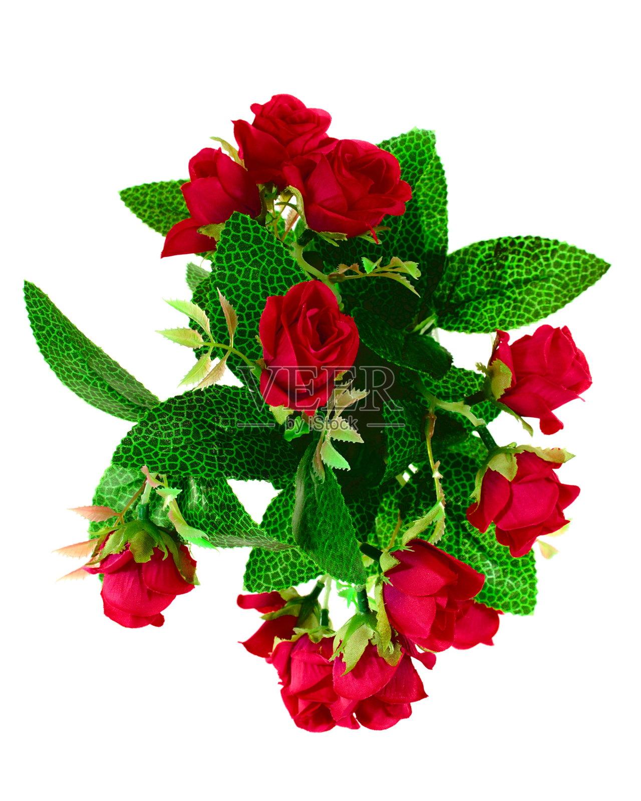 一束红玫瑰，俯视图照片摄影图片