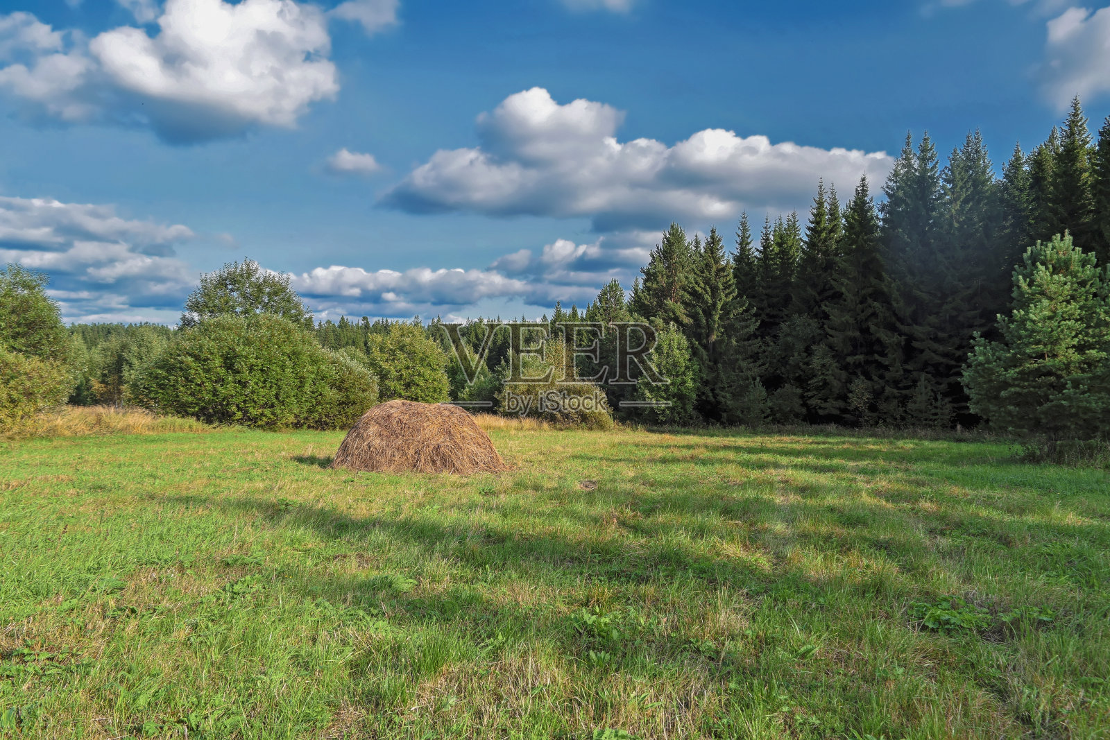 夏日阳光明媚的乡村景观和干草堆。照片摄影图片
