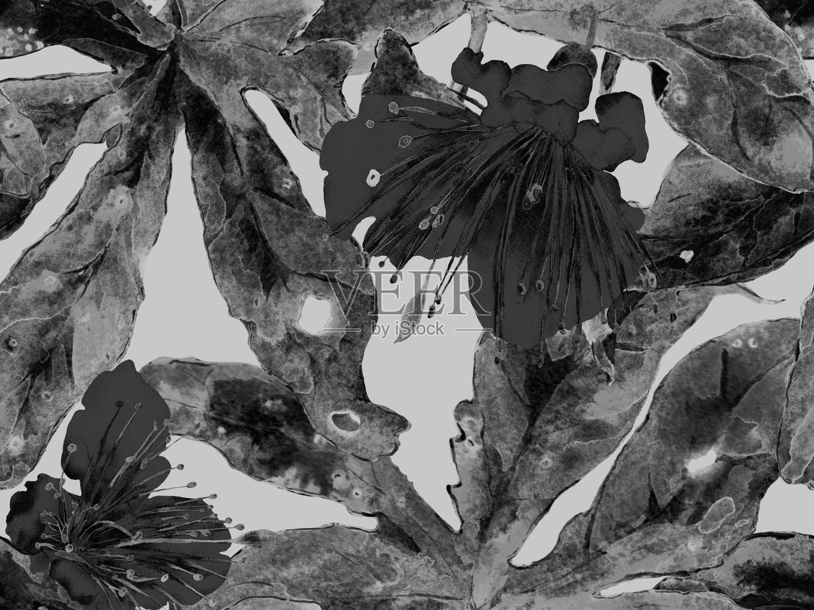 花卉图案时尚。插画图片素材