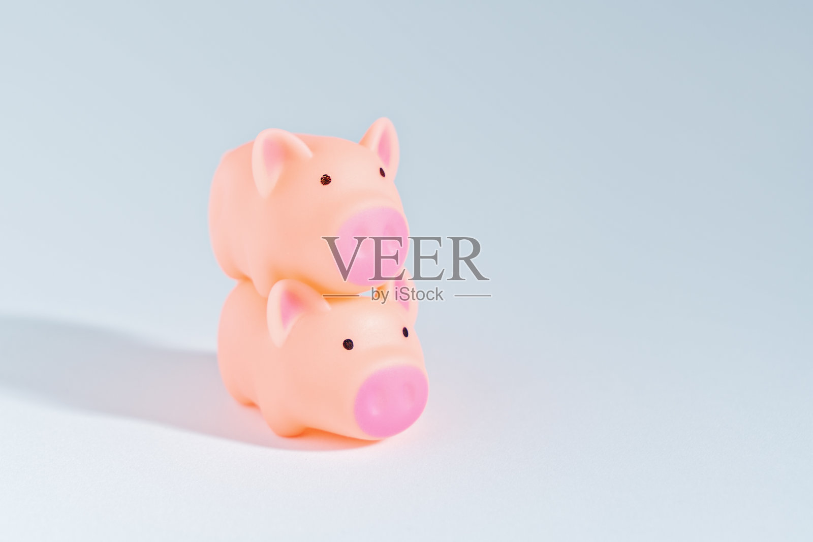 2019年春节快乐的象征是猪照片摄影图片