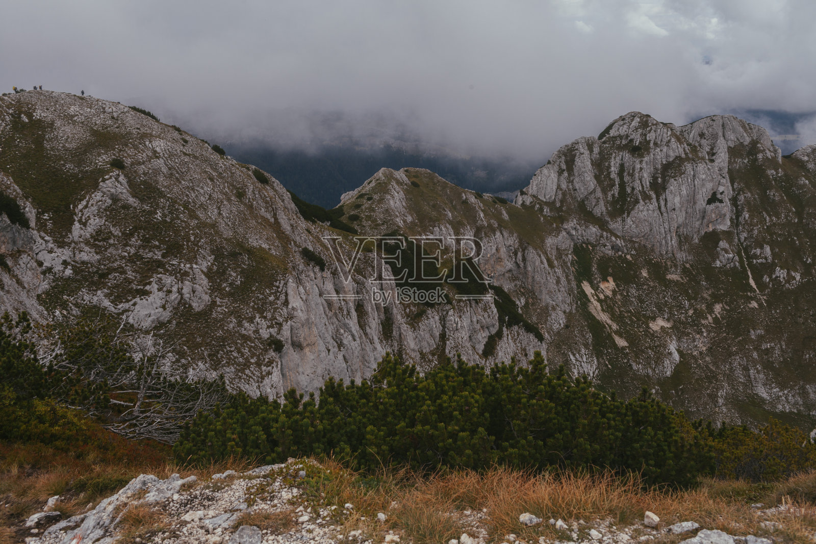 山和森林照片摄影图片