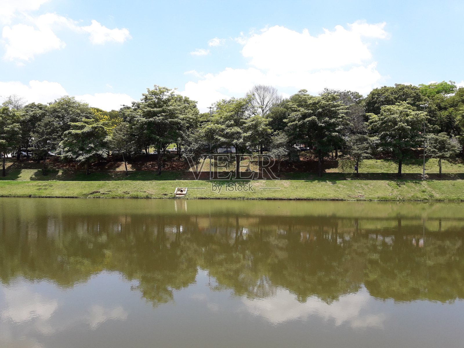 在一个阳光明媚的日子里，巴西索罗卡巴市的一个绿色公园的池塘照片摄影图片