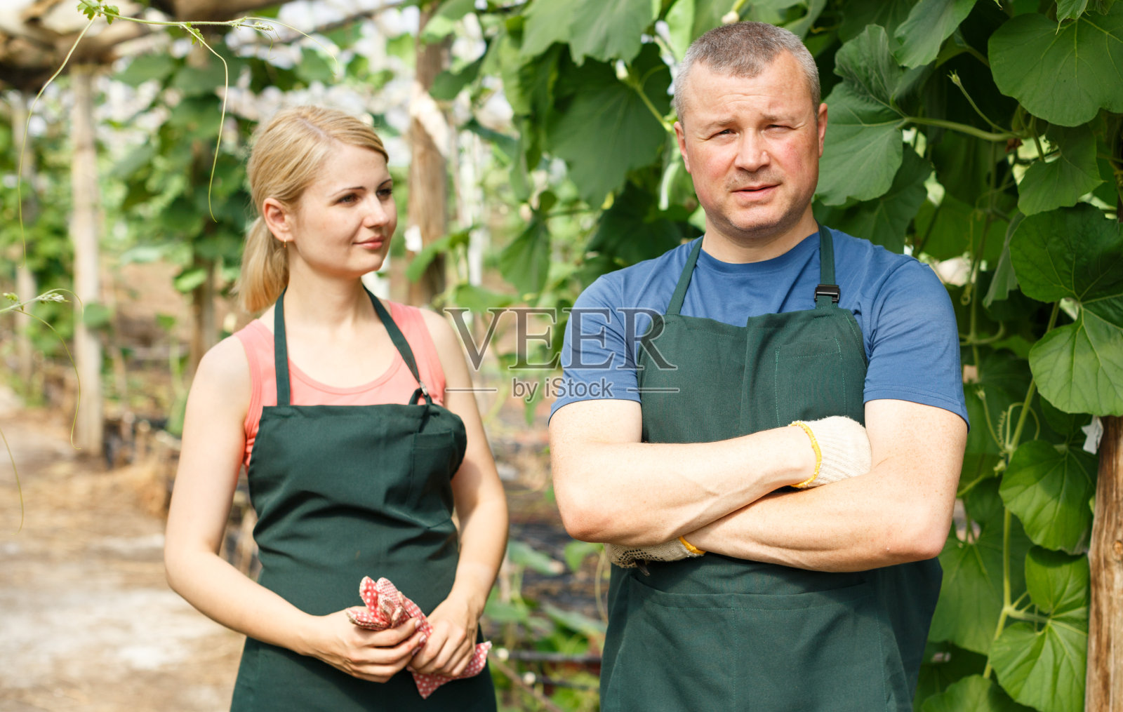几个园艺师围着围裙站在温室里的幼苗旁边照片摄影图片