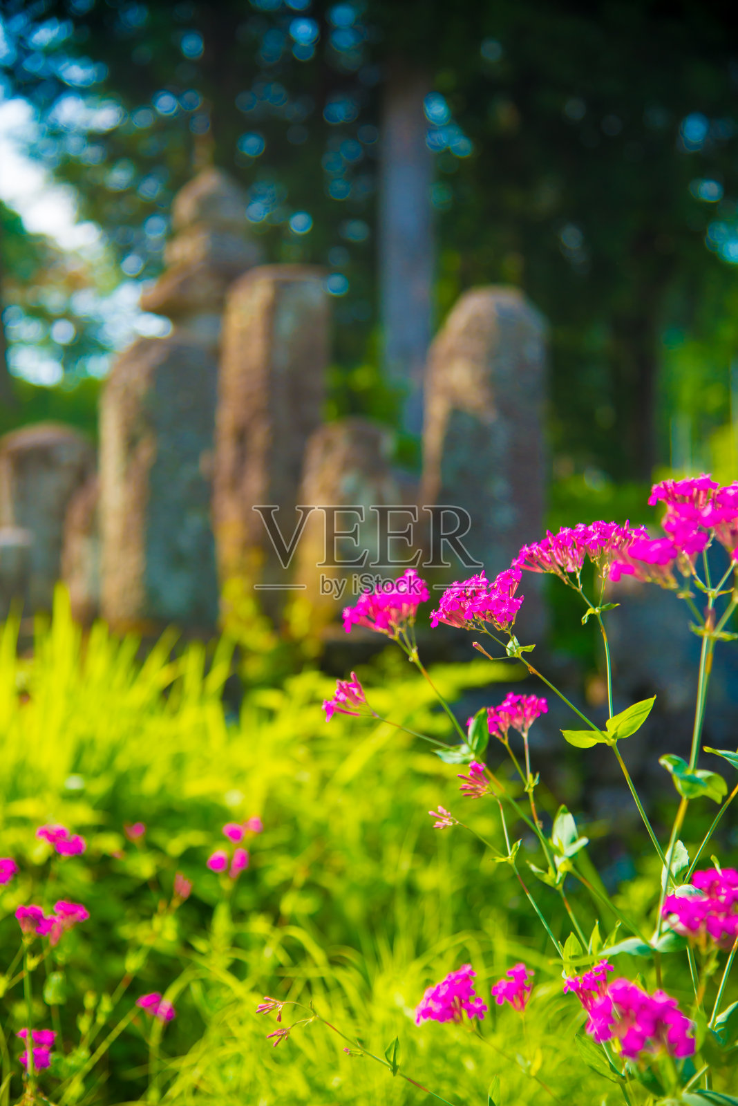 日本立山町的小自然照片摄影图片