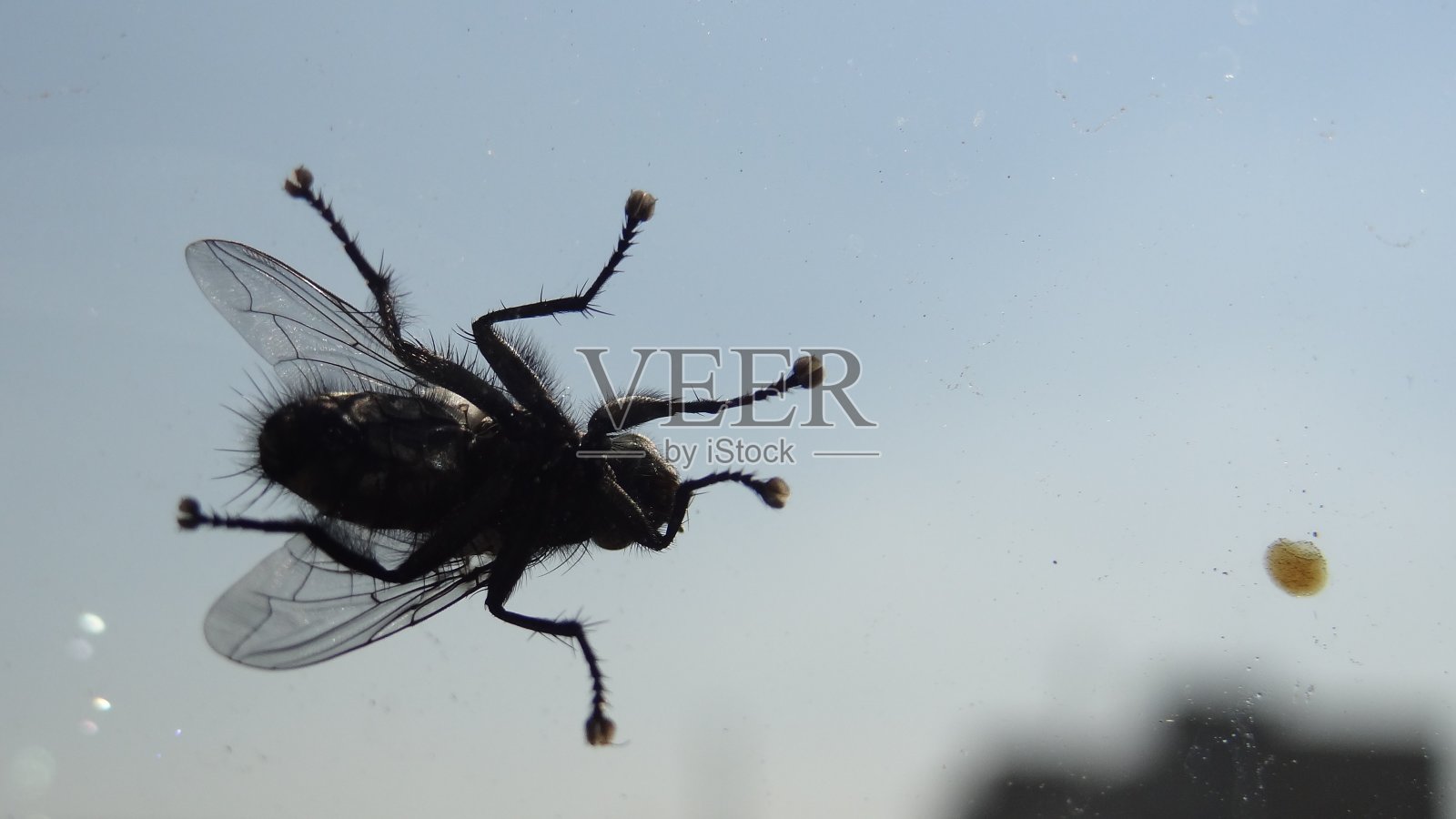 在城市里飞行照片摄影图片