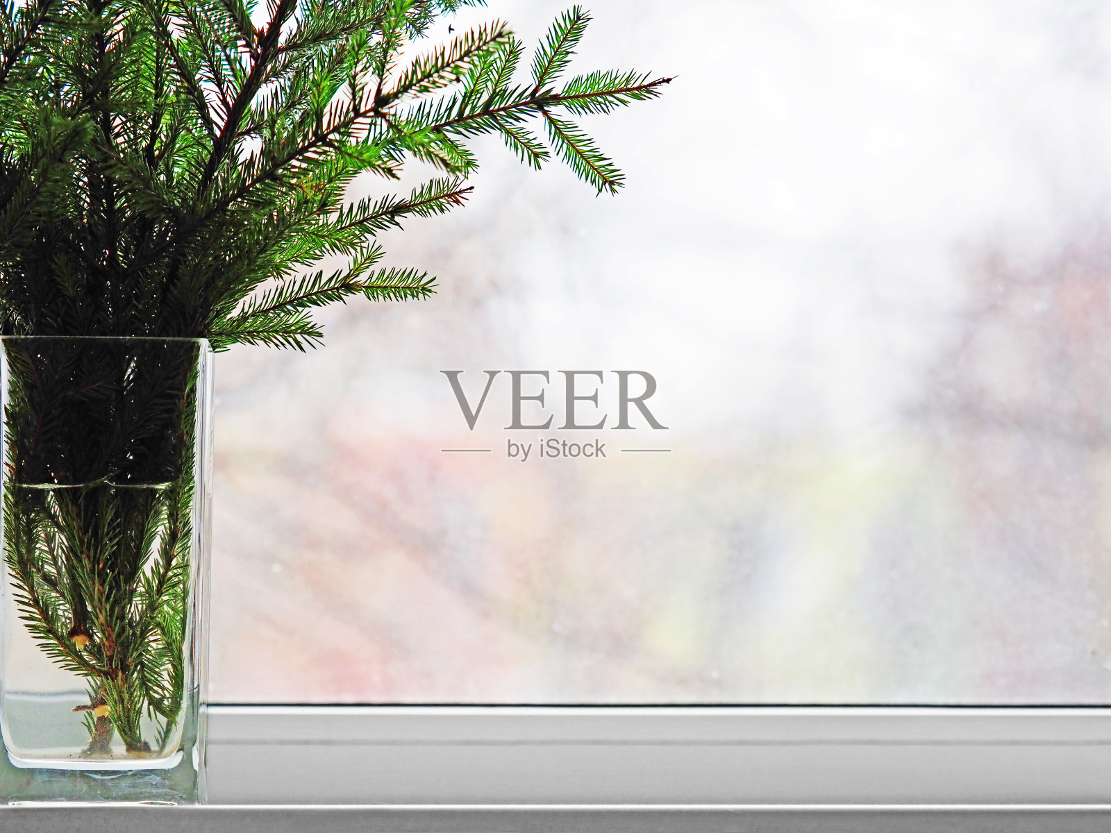 云杉花束，窗户上花瓶里的树枝，特写。圣诞树，装饰家居，营造圣诞气氛照片摄影图片