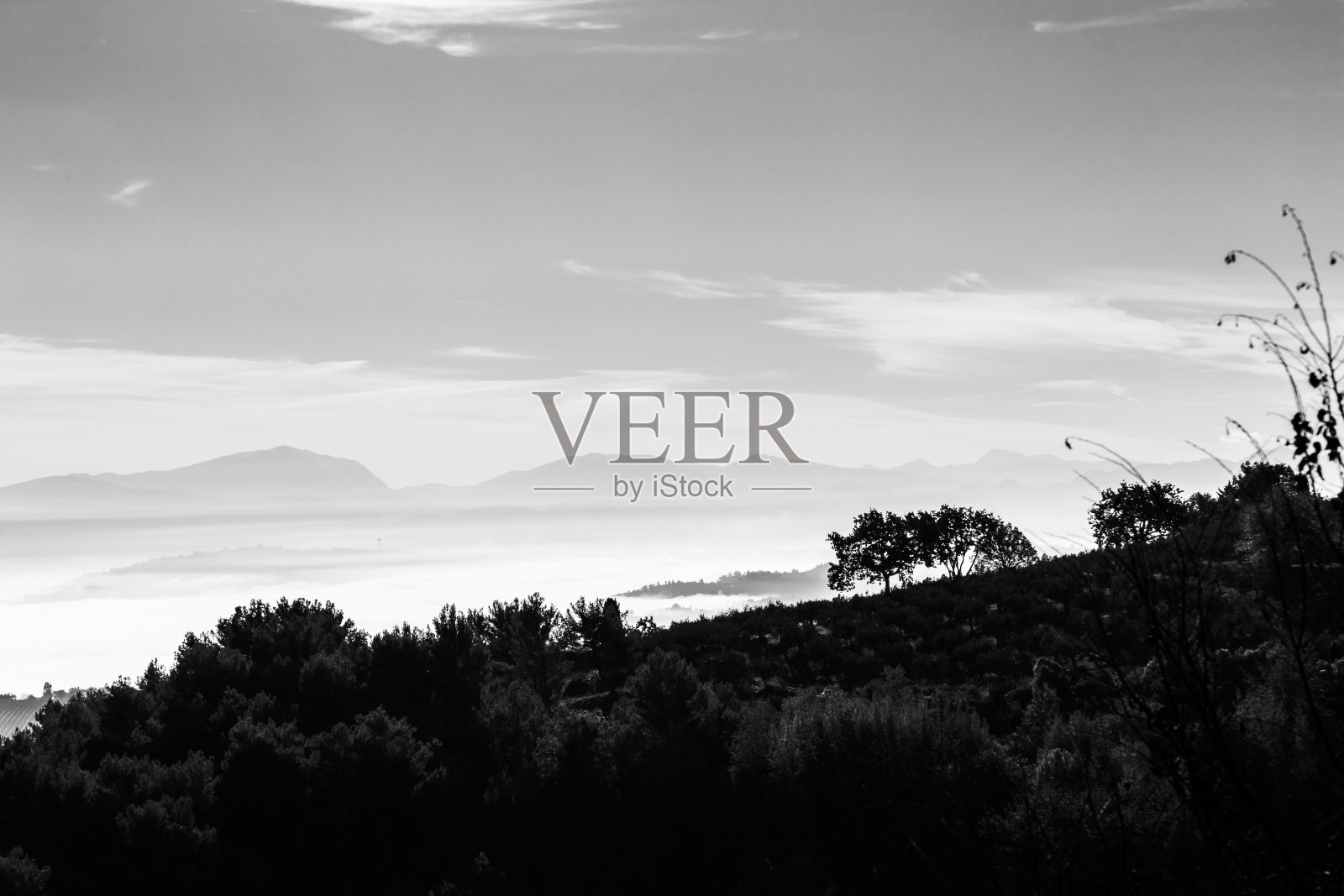 在翁布里亚(意大利)，雾气弥漫着山谷，山峦层峦叠叠，前景中有树木照片摄影图片