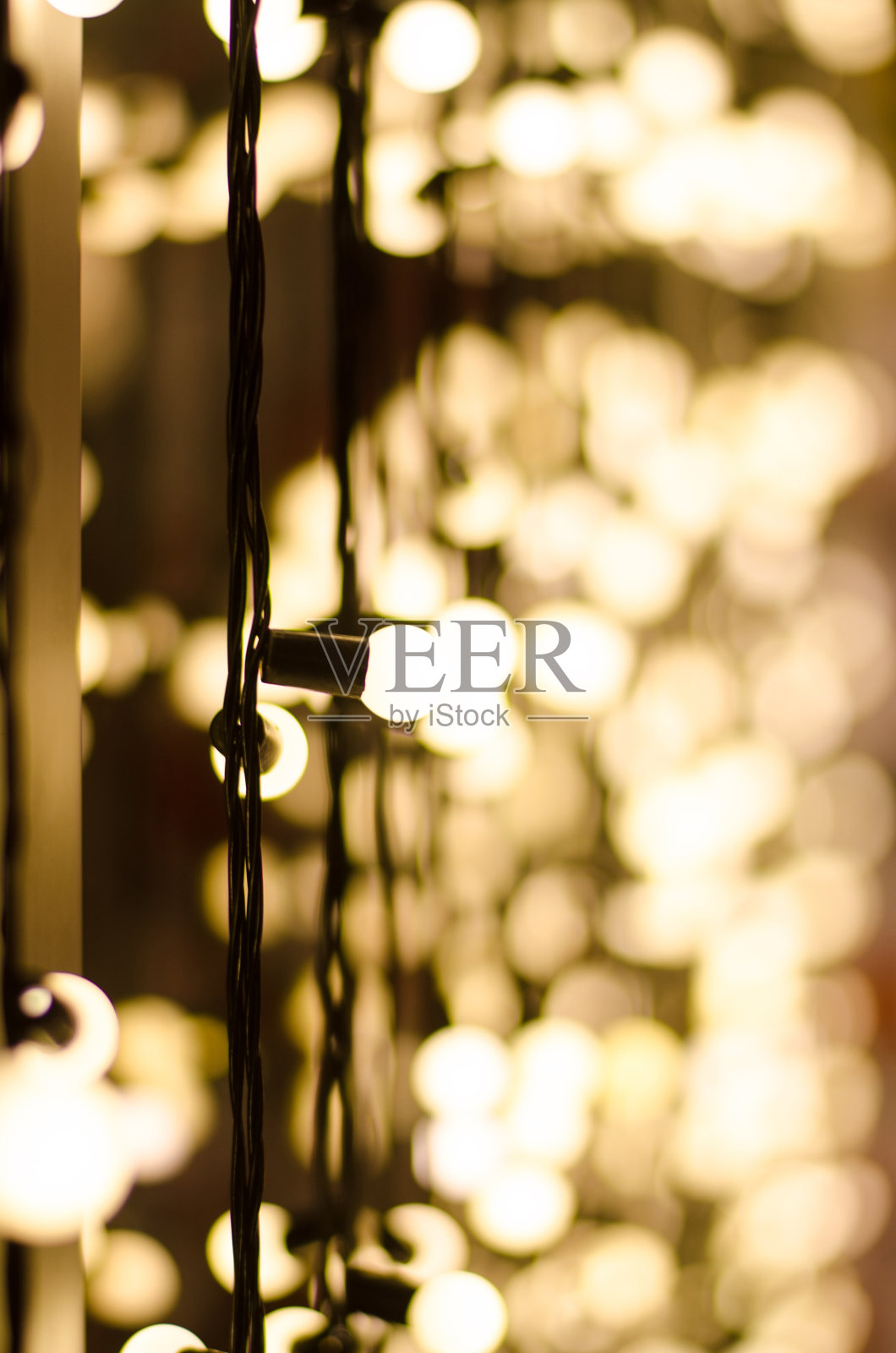 圣诞节照片摄影图片