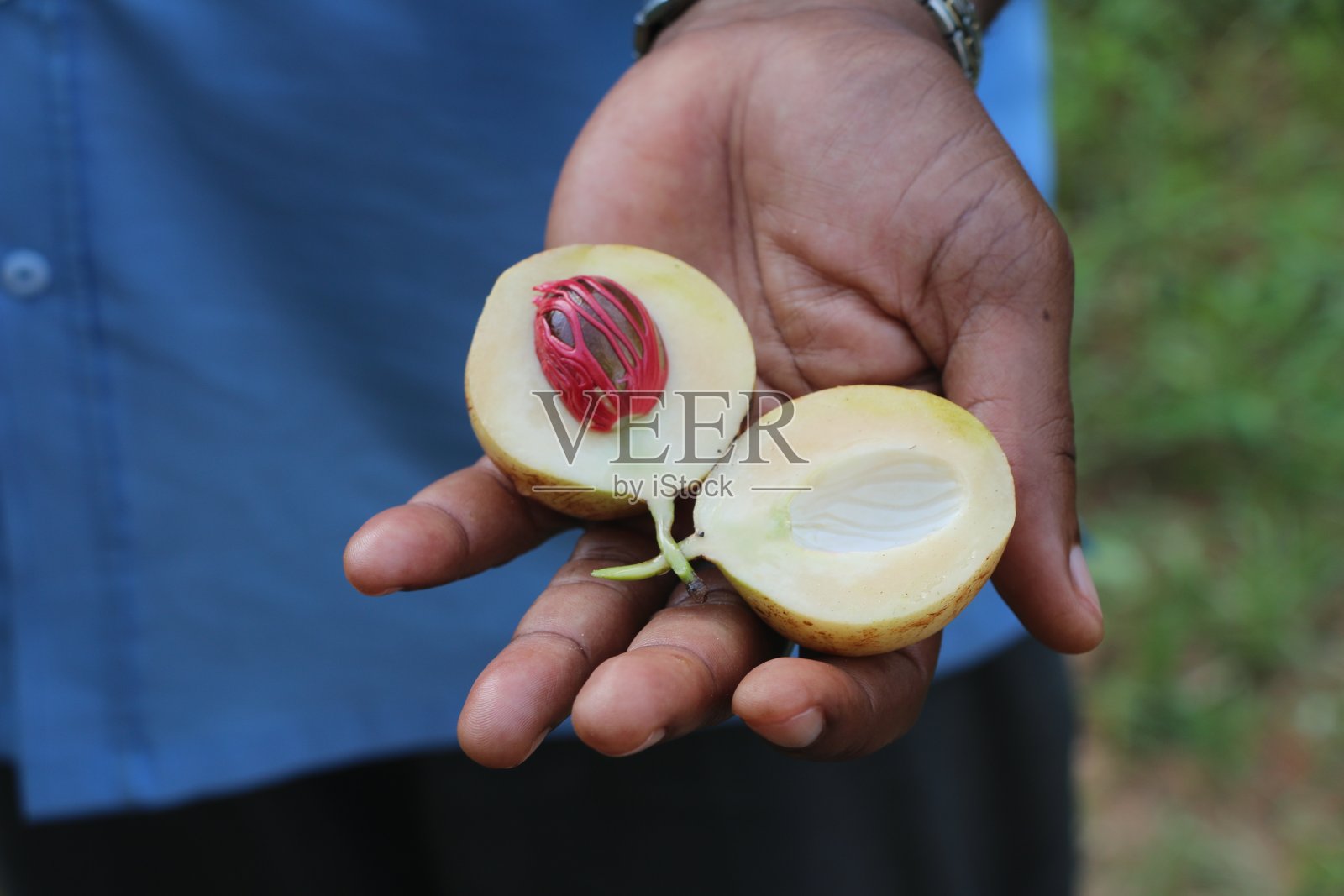 马斯喀特螺母照片摄影图片