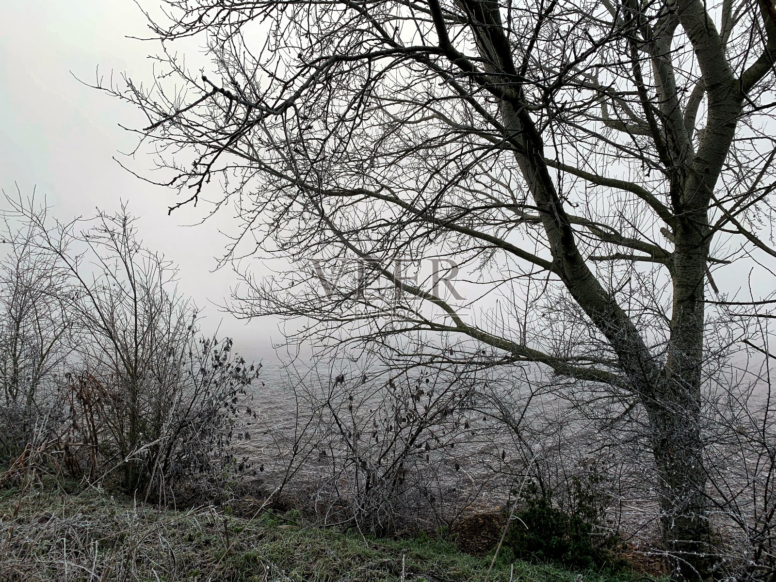 冬天的早晨在公园里照片摄影图片