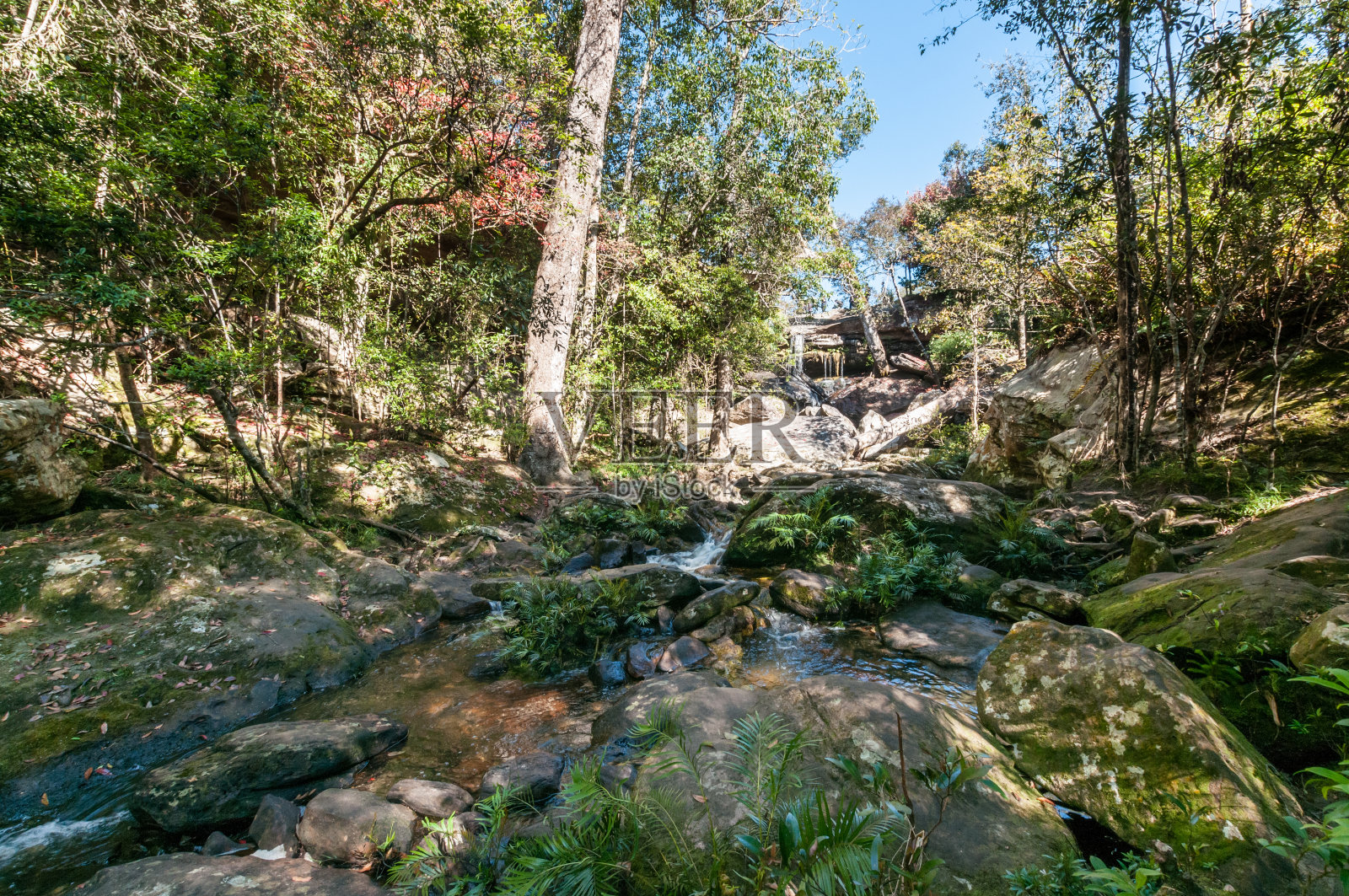 瀑布在自然公园景观照片摄影图片