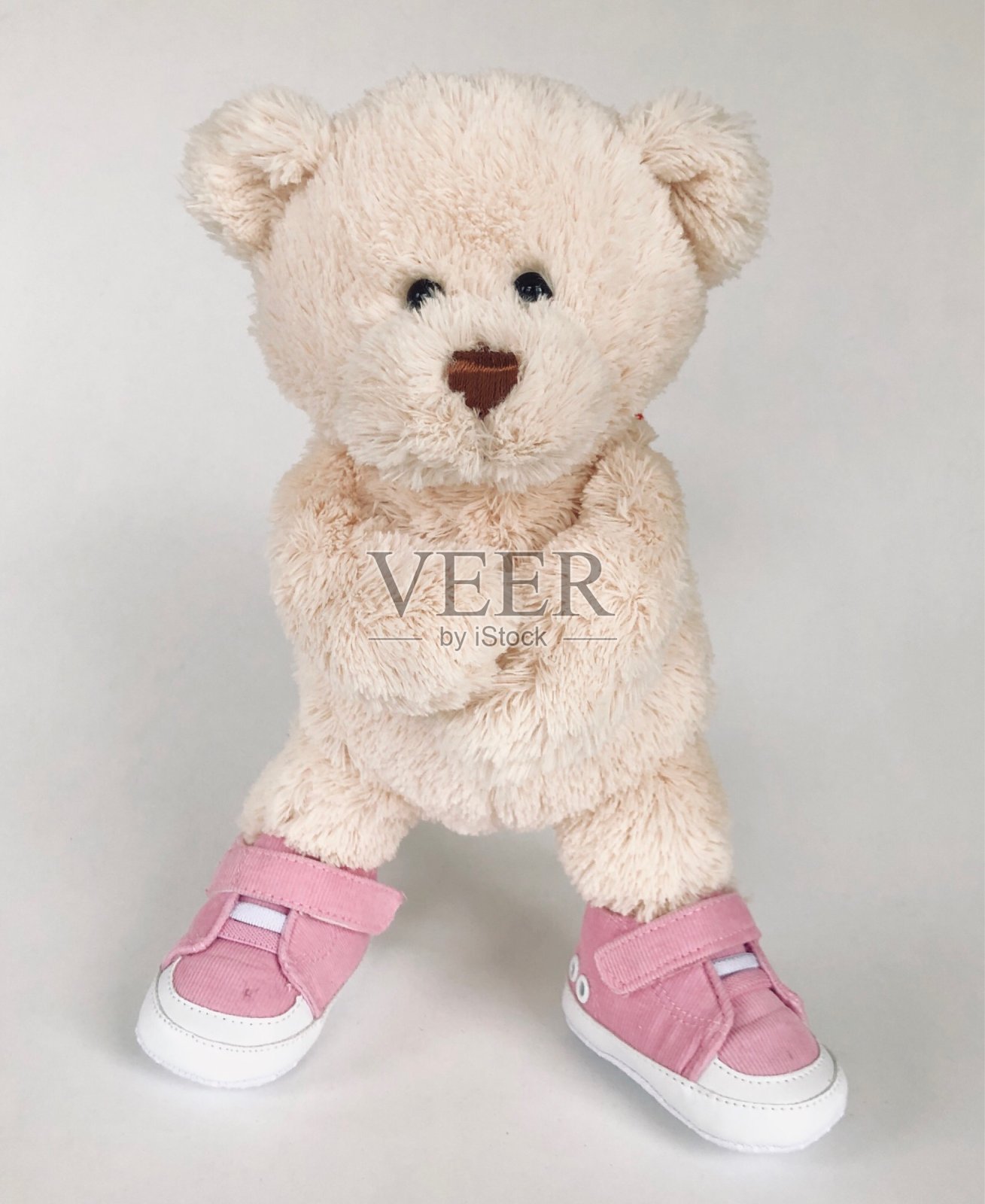 泰迪熊的鞋子照片摄影图片