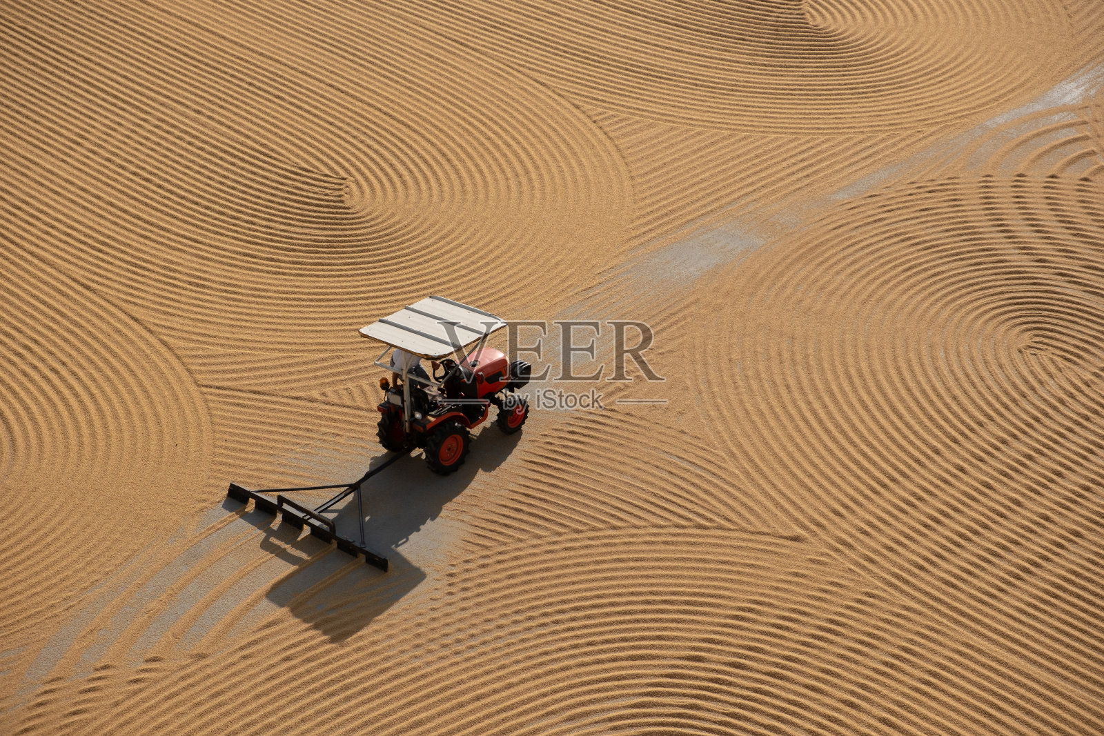 拖拉机压扁粉碎的小麦用于干燥照片摄影图片