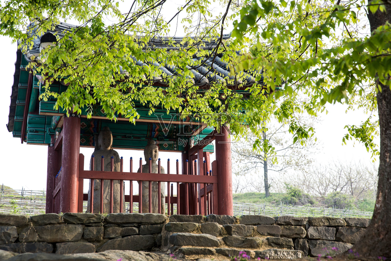 真格寺里立石佛照片摄影图片