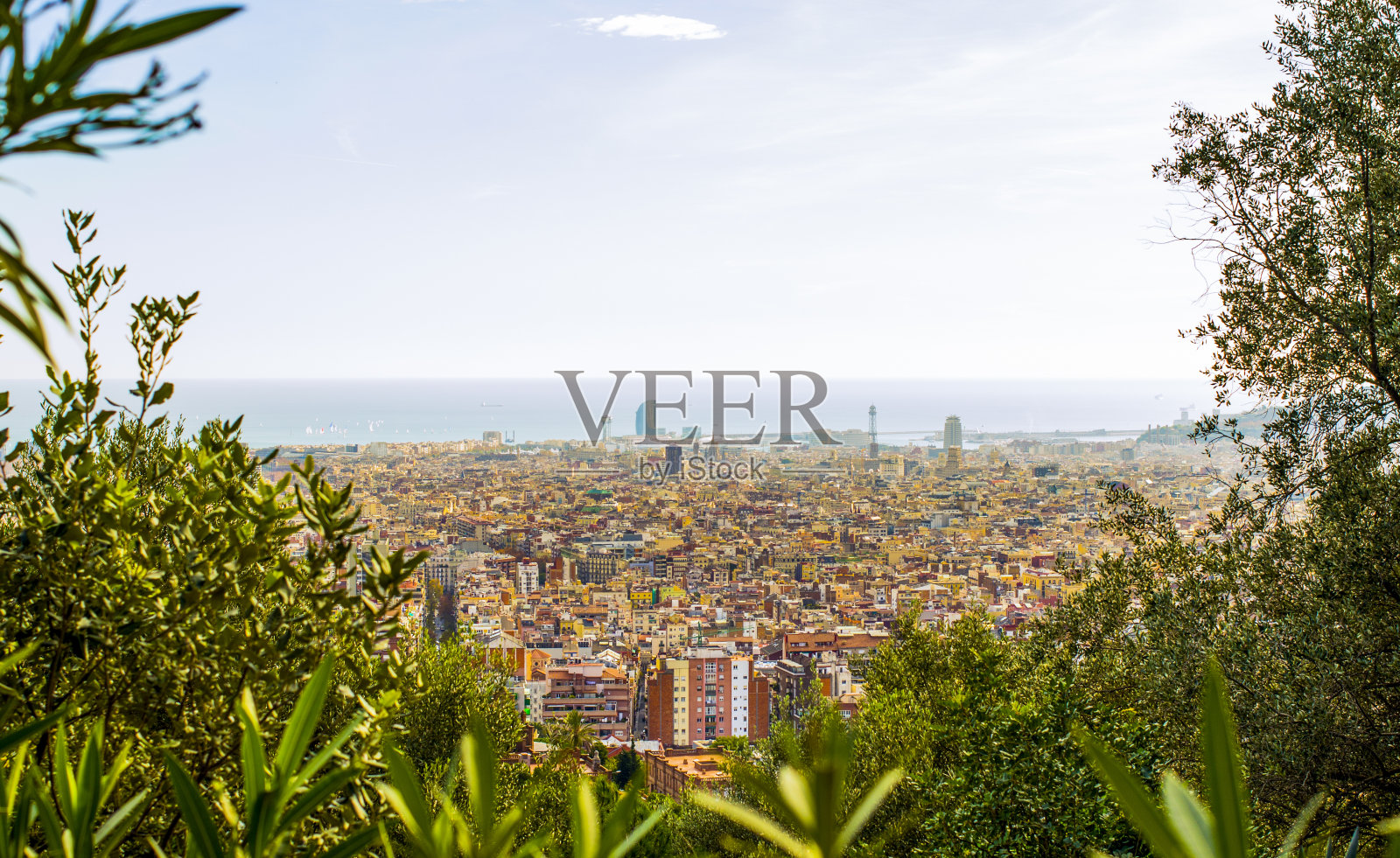 巴塞罗那全景从公园海鸥照片摄影图片