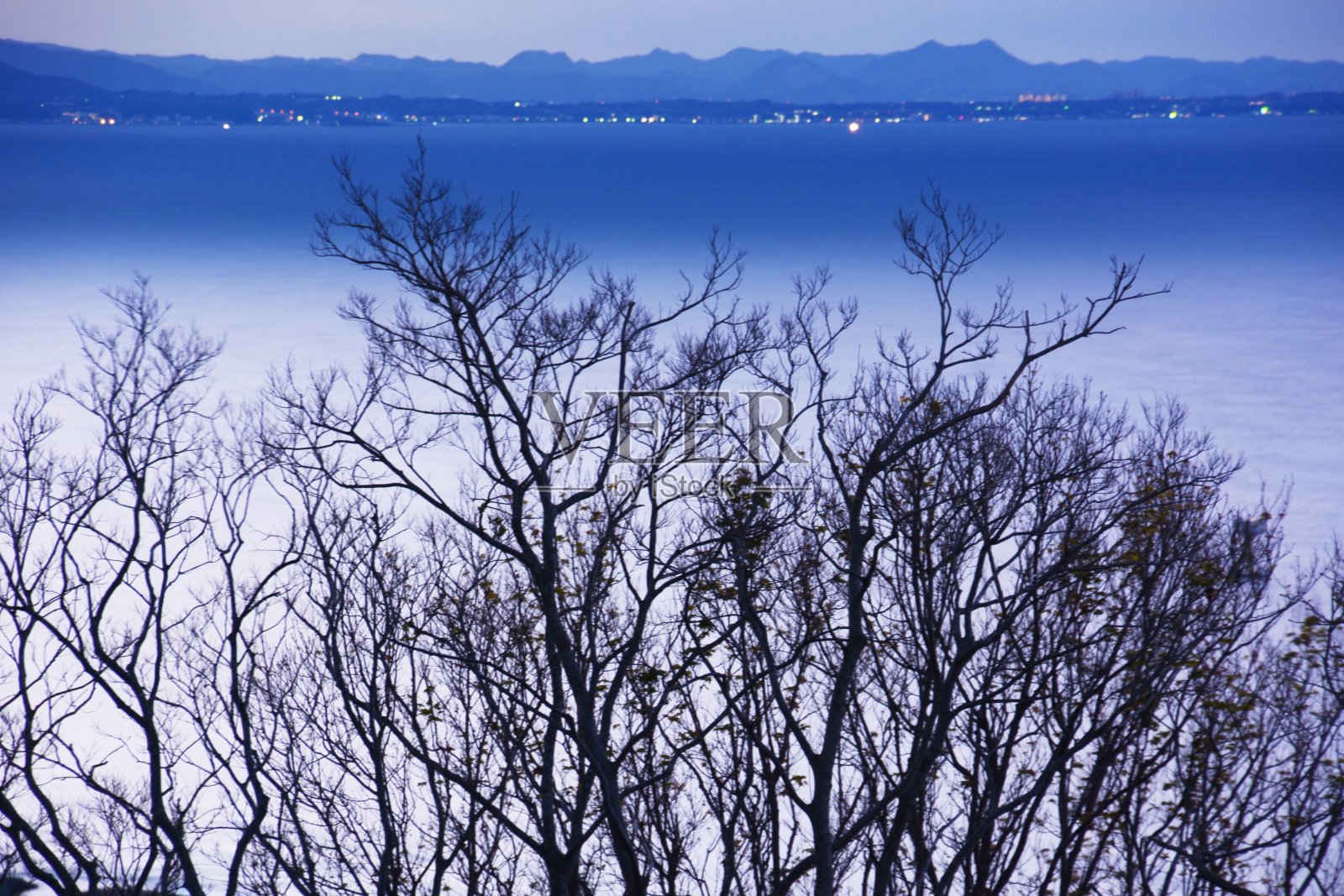 冬天的海岸树照片摄影图片