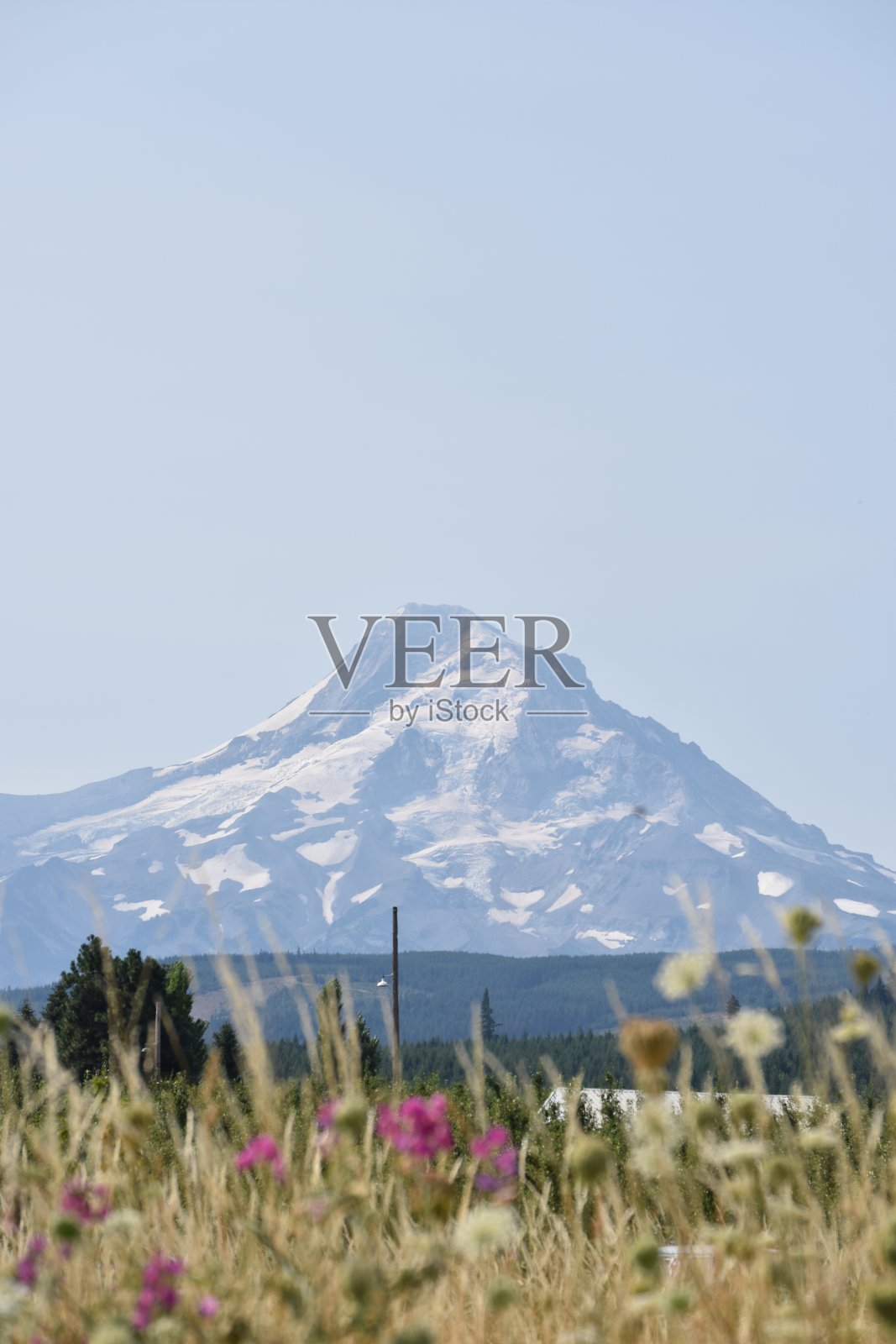 俄勒冈-胡德山照片摄影图片