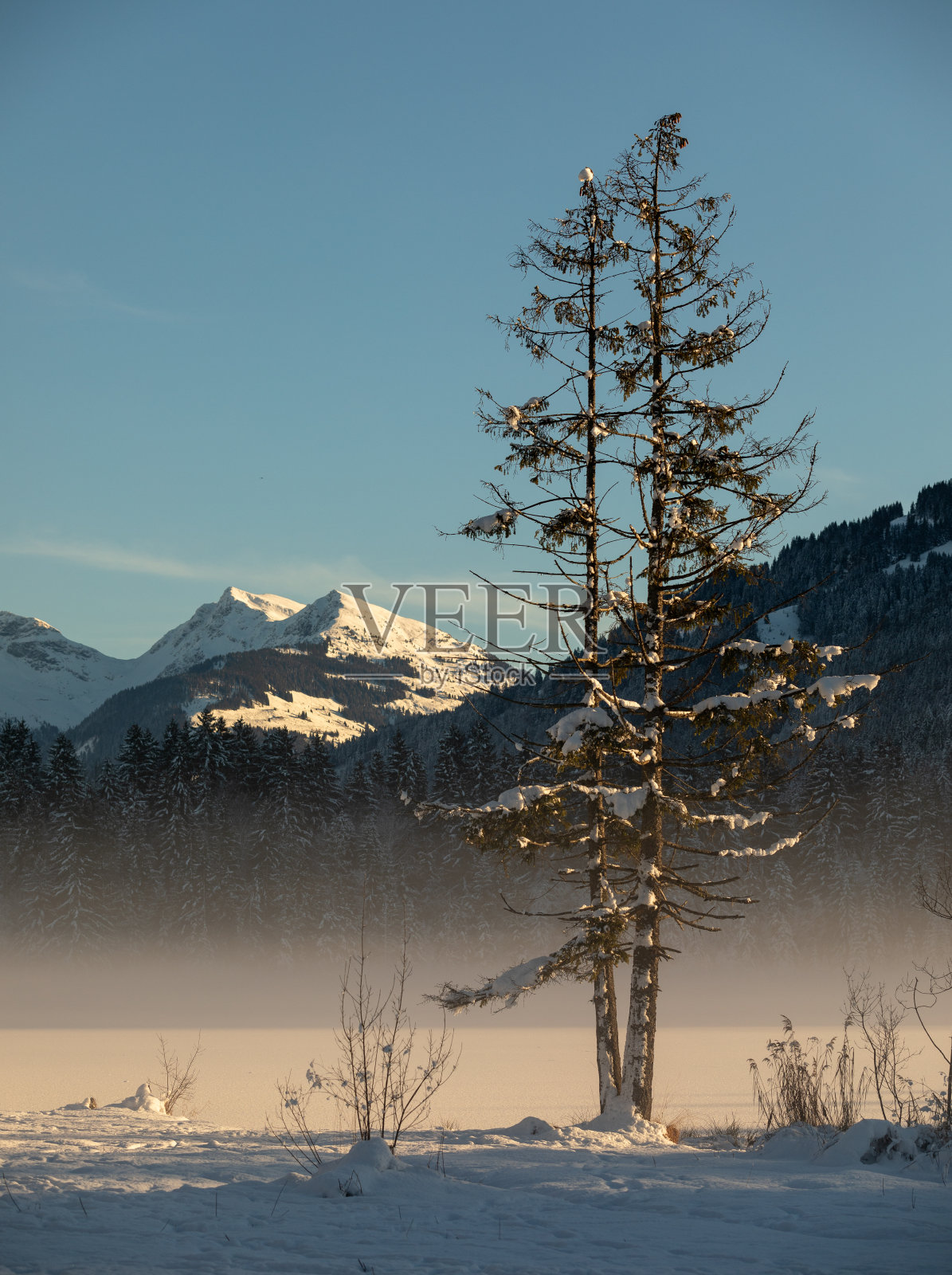 冬天在Kitzbühel阿尔卑斯山，蒂罗尔，奥地利照片摄影图片