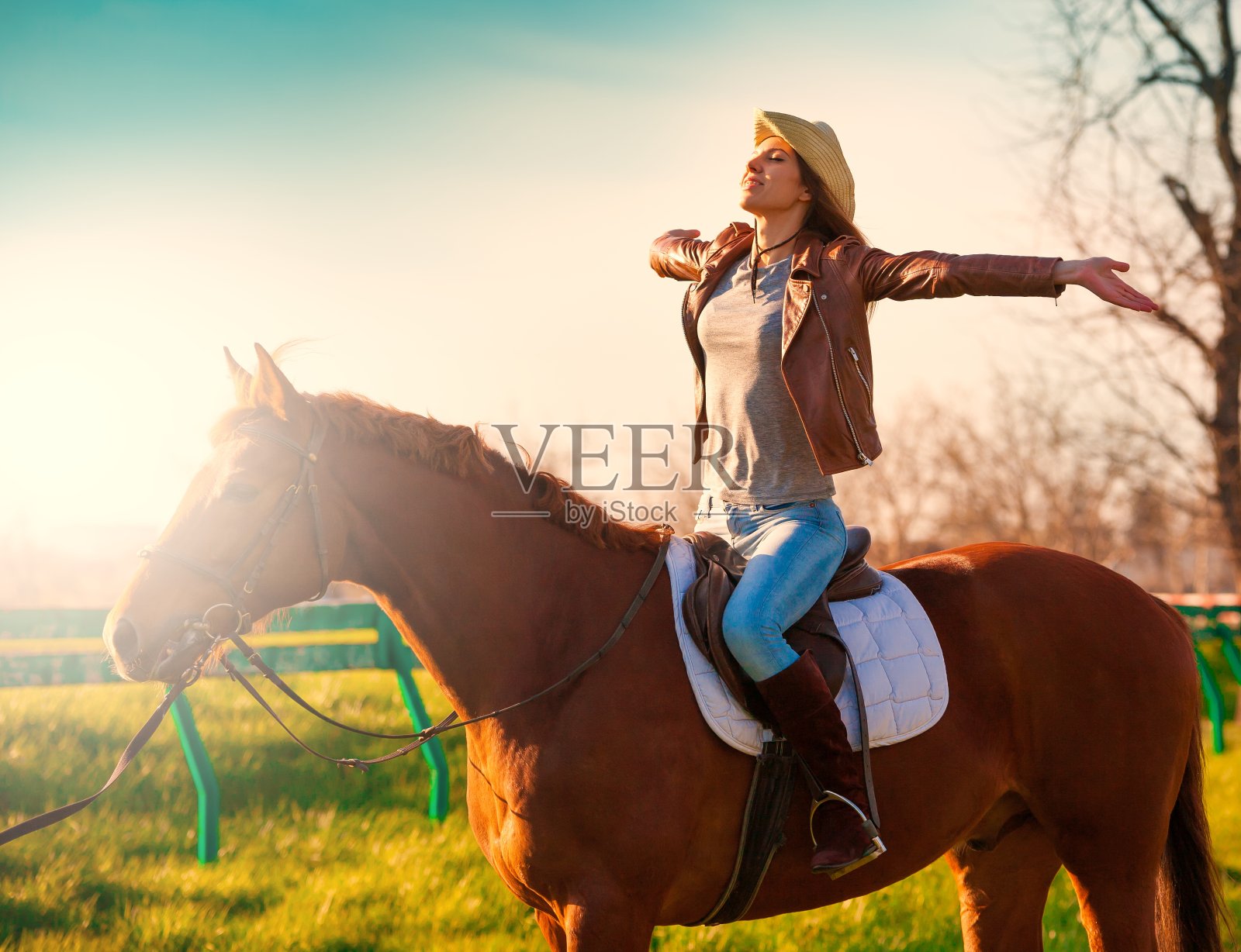 女人坐在马。日落。照片摄影图片