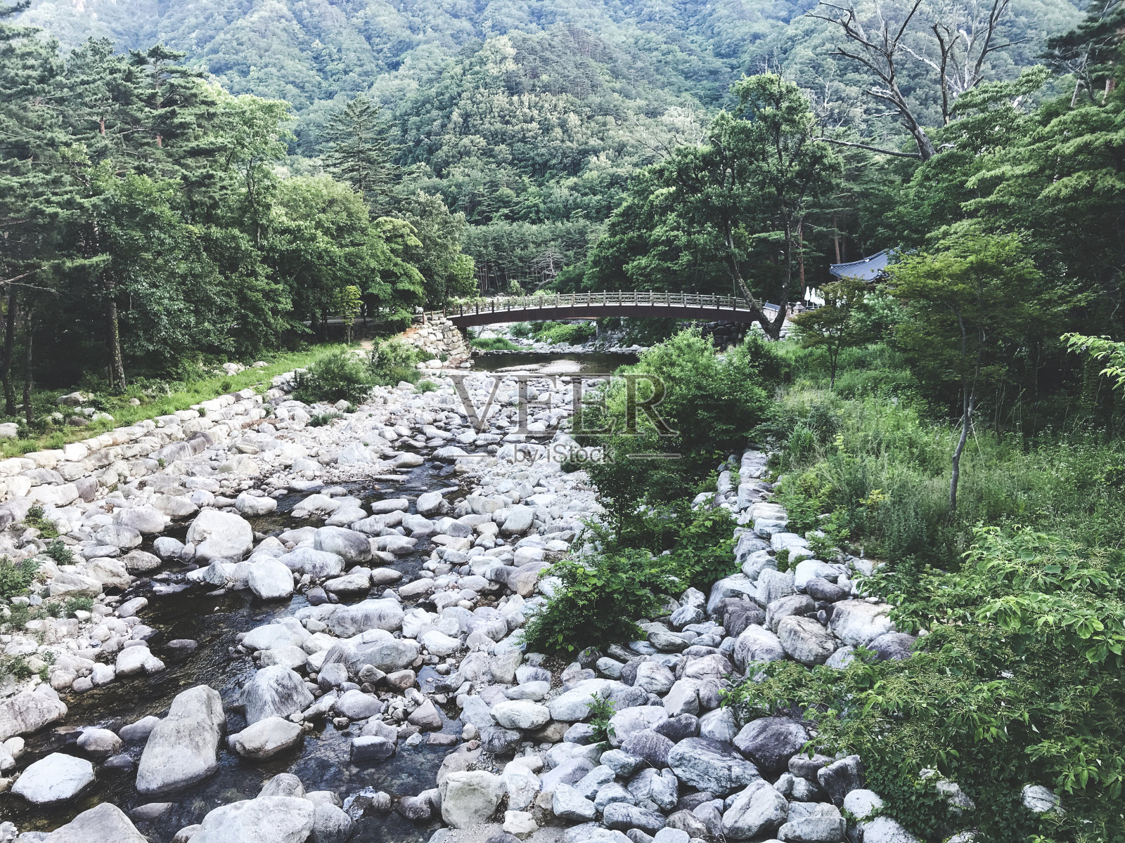 雪山国家公园的山河和木桥照片摄影图片