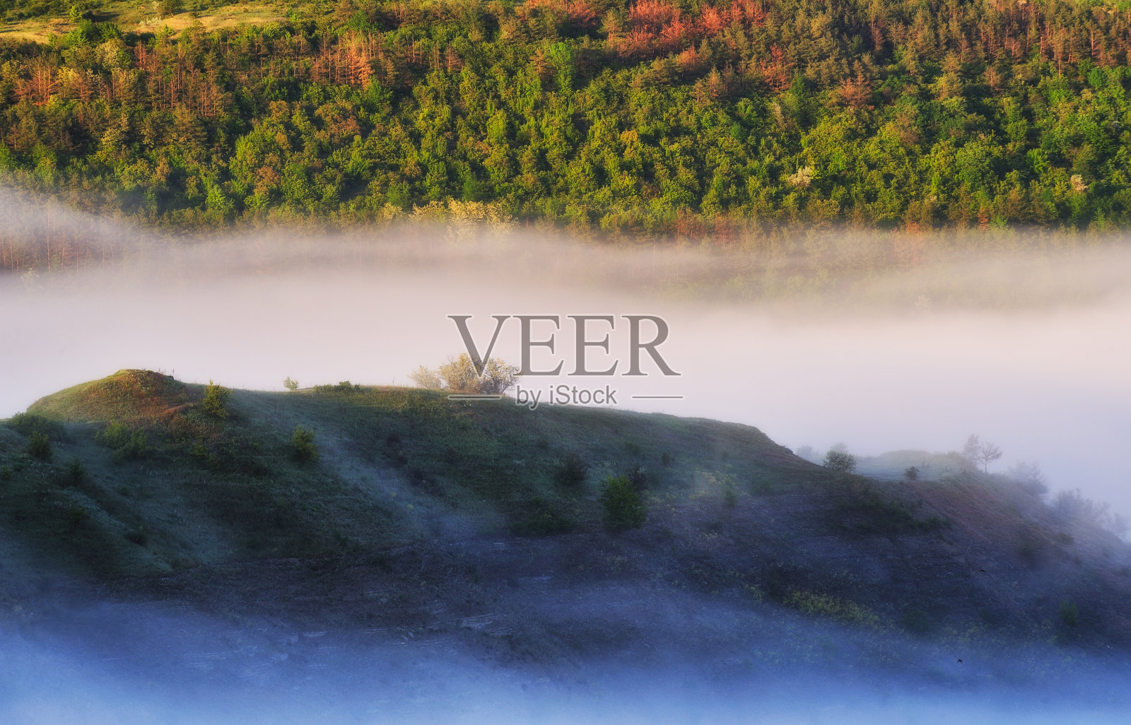 多雾的春天的早晨。风景如画的河流峡谷。山谷中的雾照片摄影图片