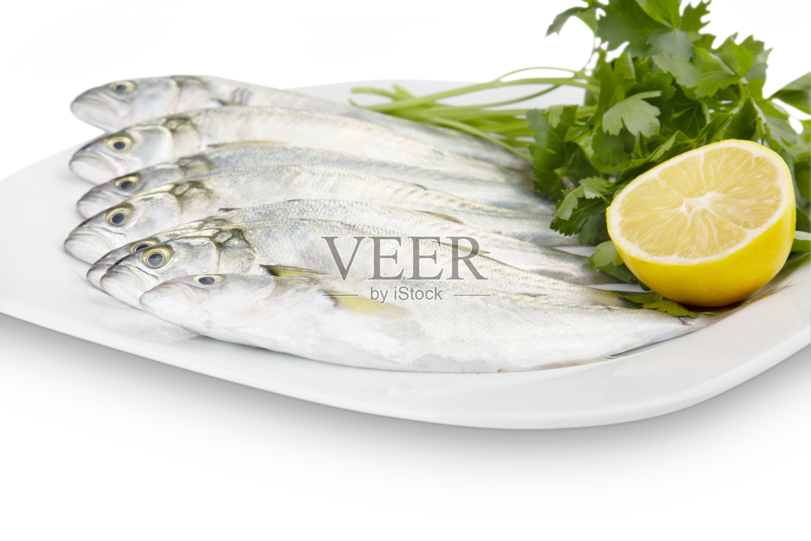 鱼照片摄影图片