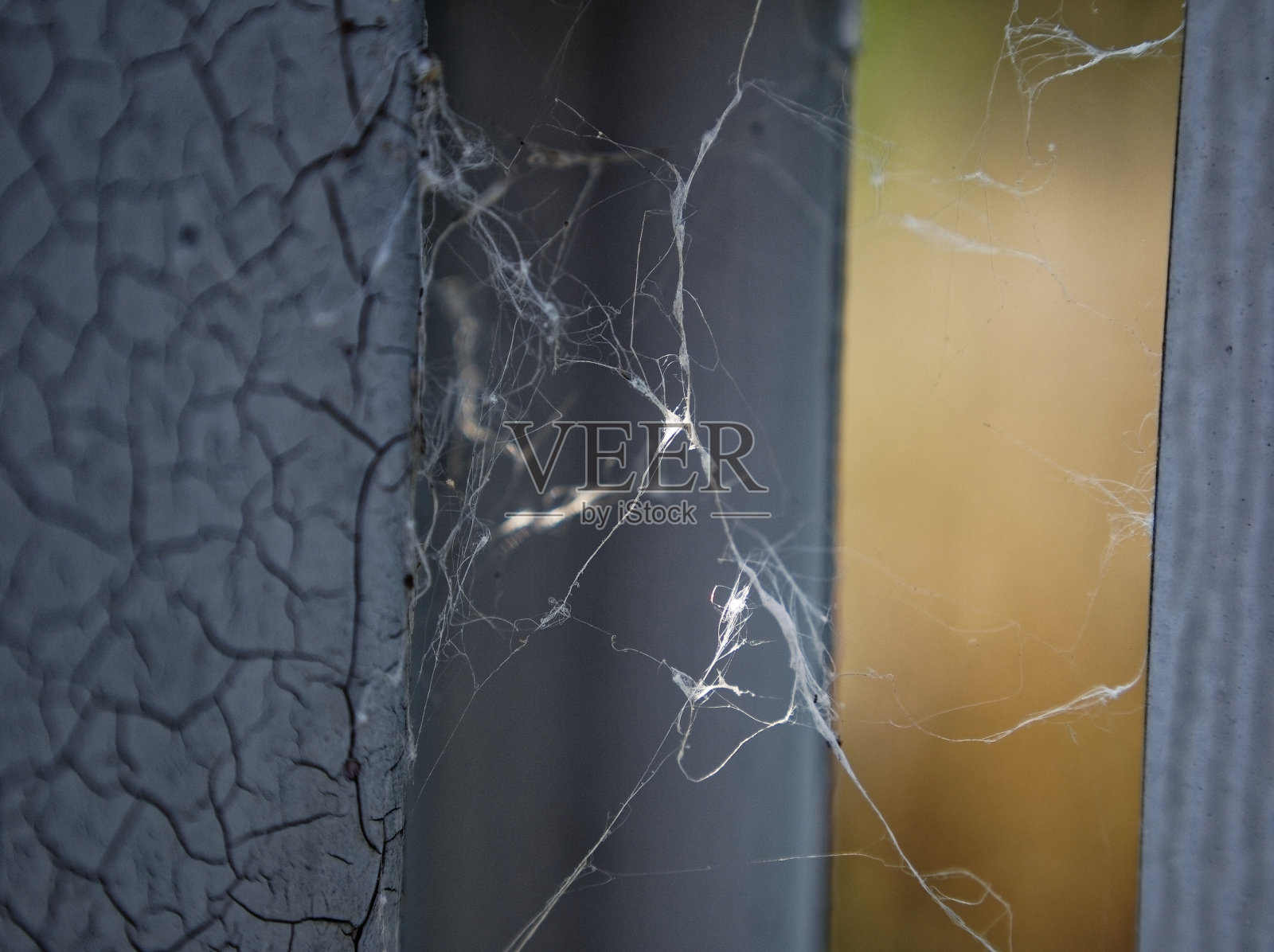 网之间摇动着细小的铁栅栏照片摄影图片