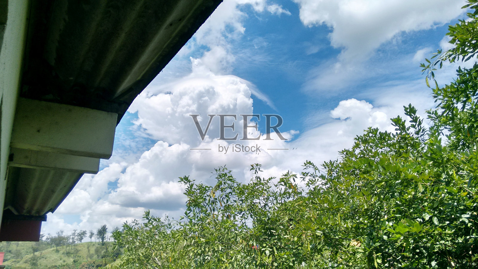 天空中有云，有树，有灌木丛照片摄影图片