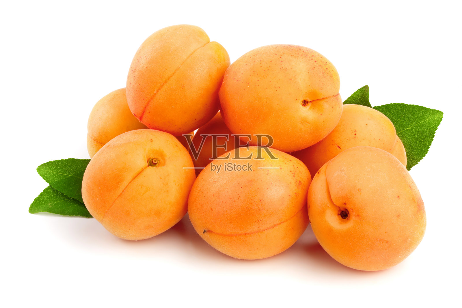 在白色背景微距上孤立的杏子果实照片摄影图片