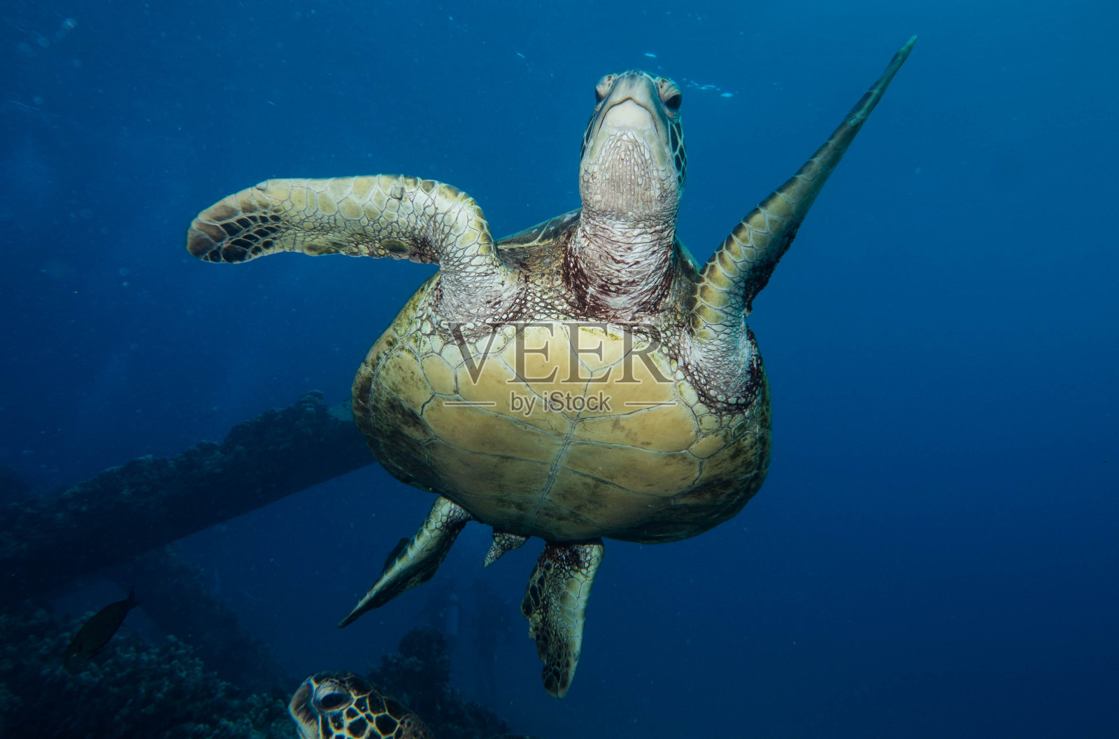 潜水沉船照片摄影图片