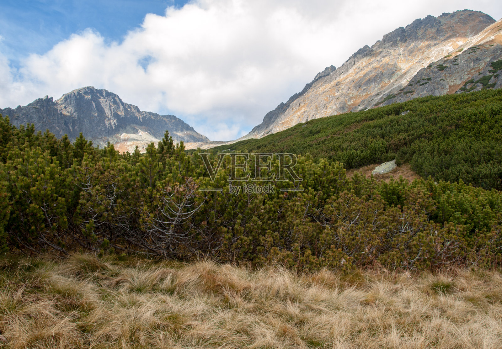 大冷谷在维索克塔特里(高塔特拉斯)，斯洛伐克。照片摄影图片