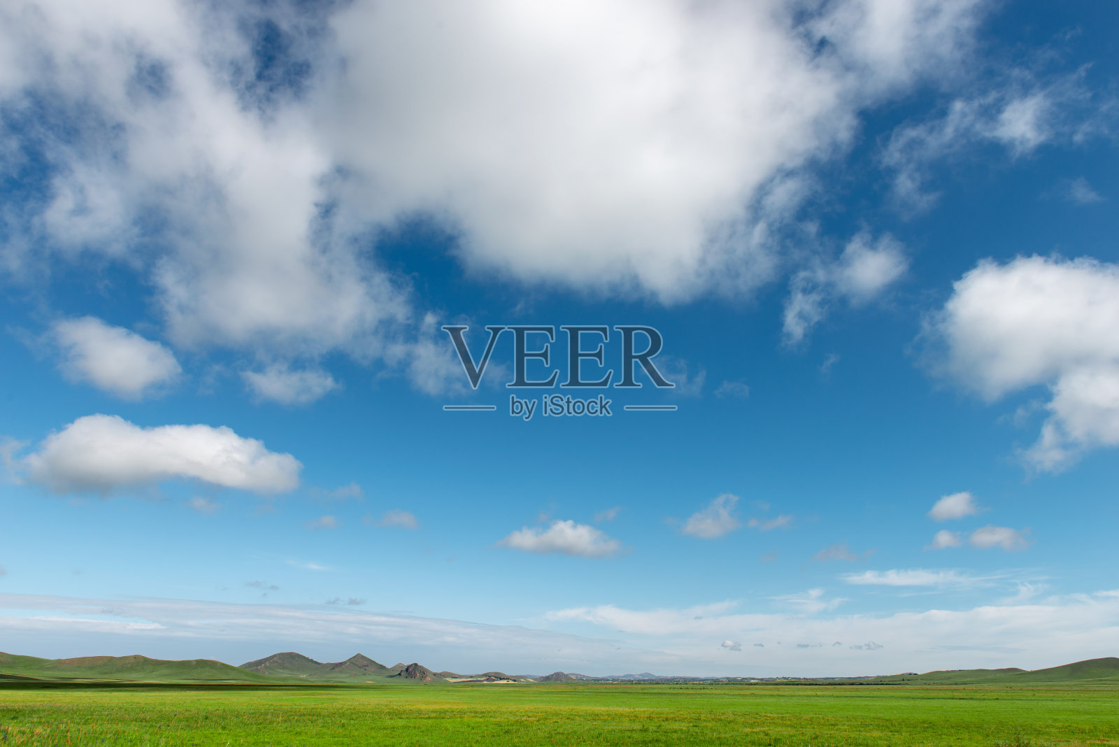 碧蓝的天空和白云在绿色平坦的牧场上照片摄影图片