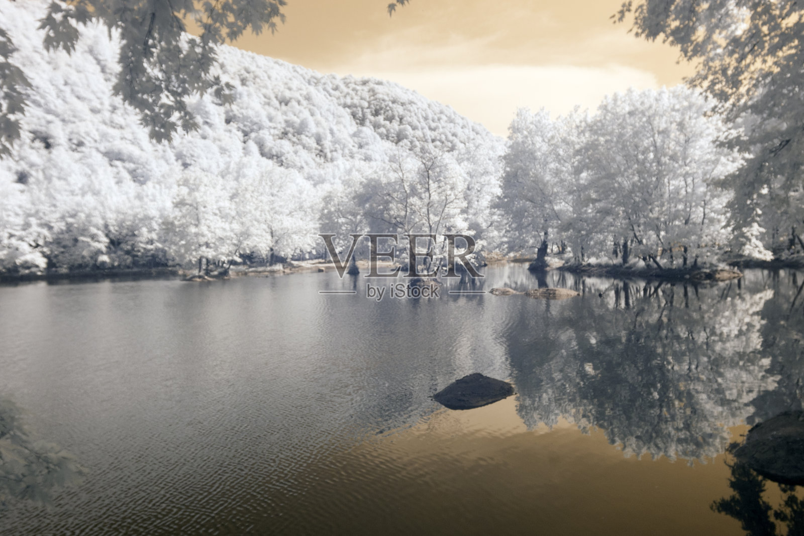 超现实的红外景观照片摄影图片