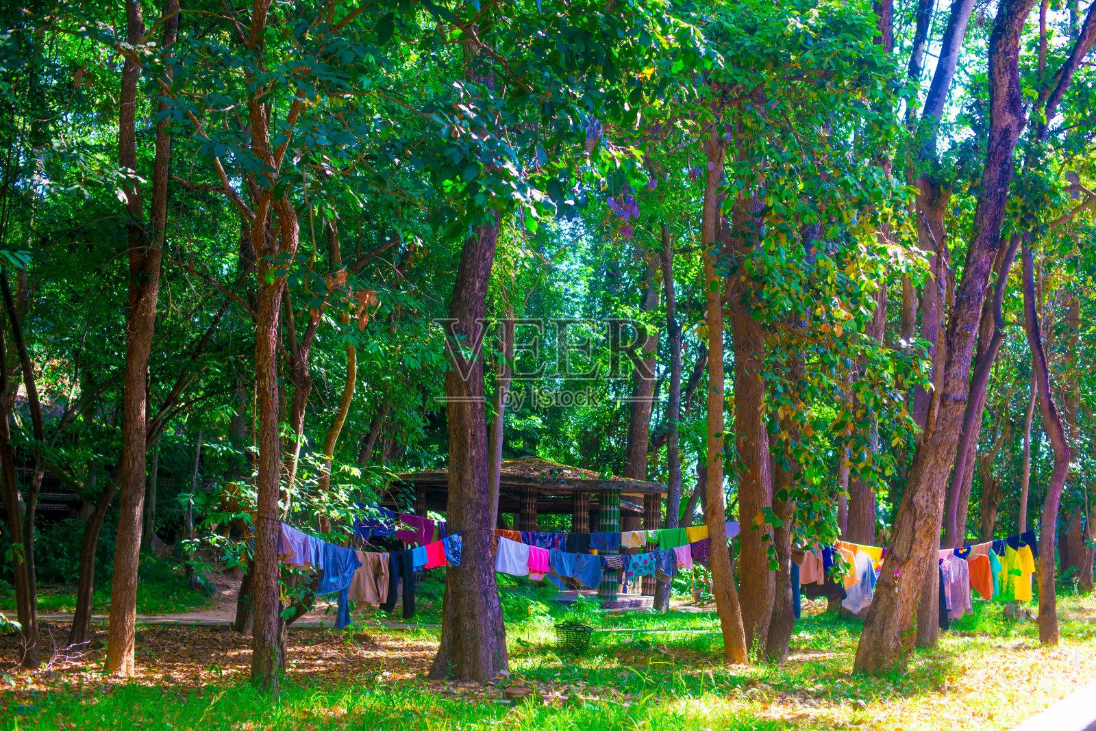 泰国曼谷的日常生活照片摄影图片