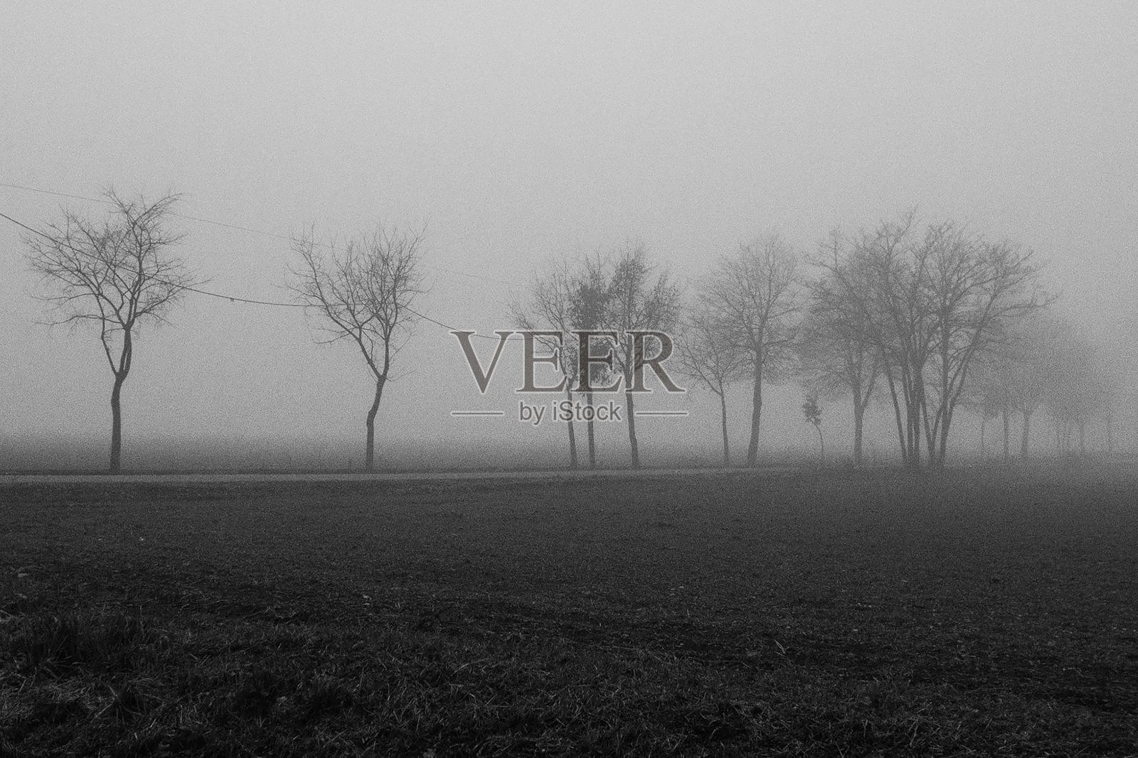 雾照片摄影图片