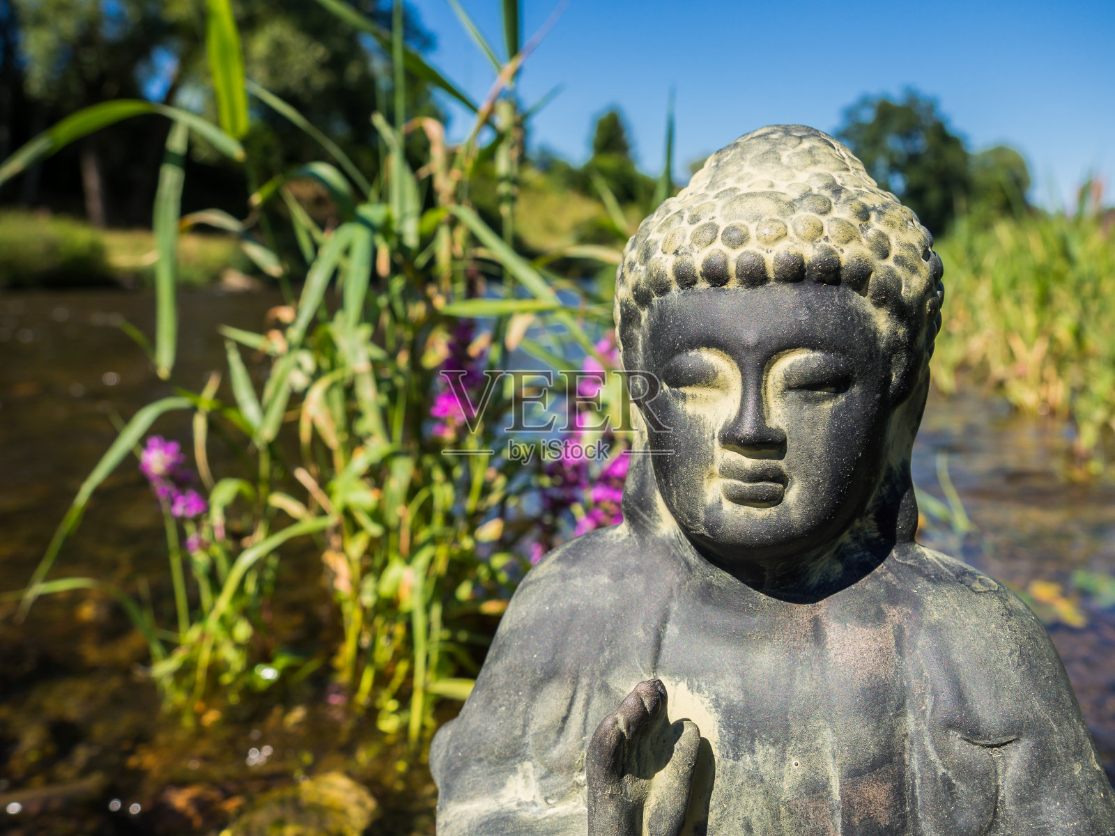 佛教信仰佛照片摄影图片