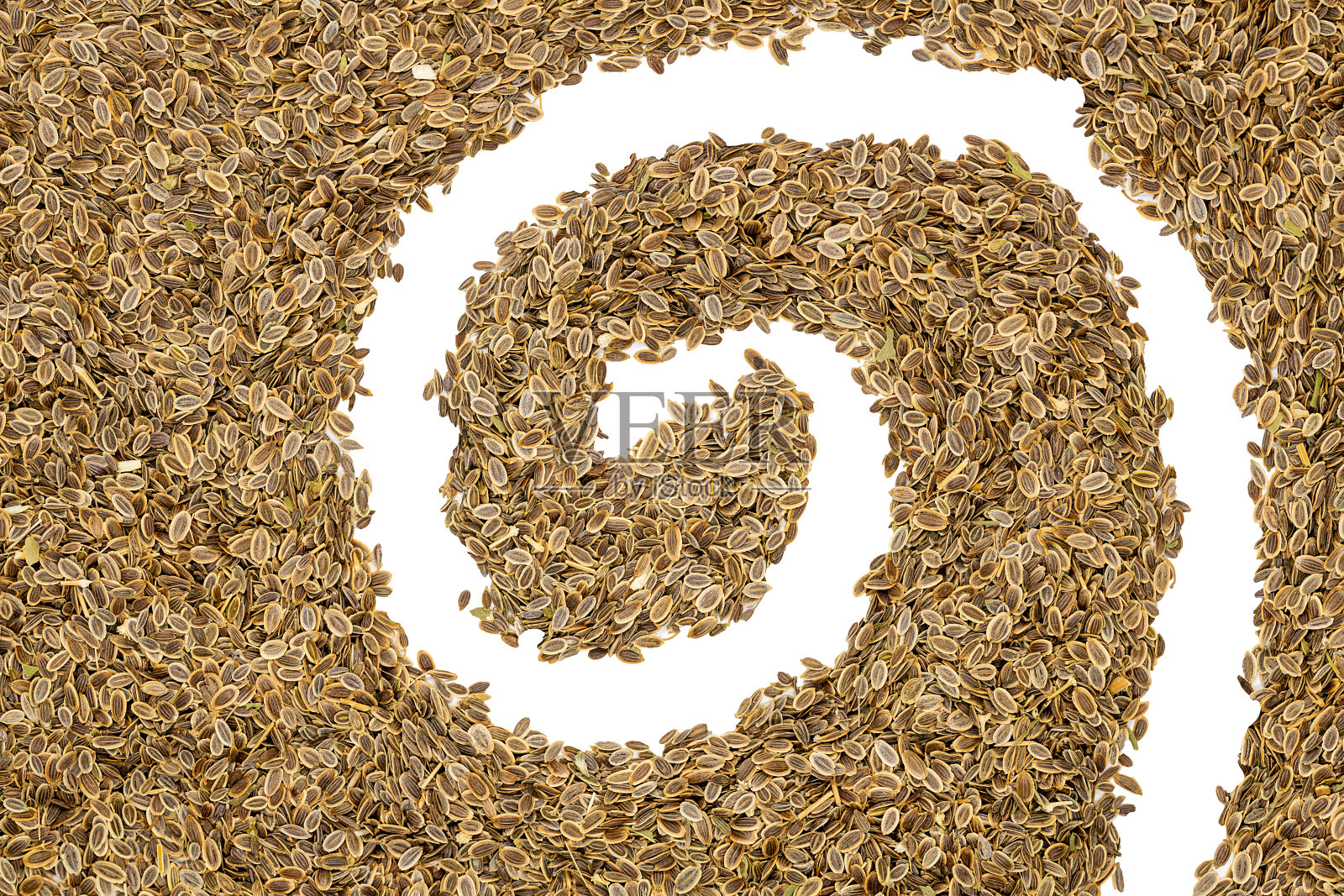 莳萝种子，靠近。一年生茴香草本植物，在烹饪或腌制中用作香料。照片摄影图片