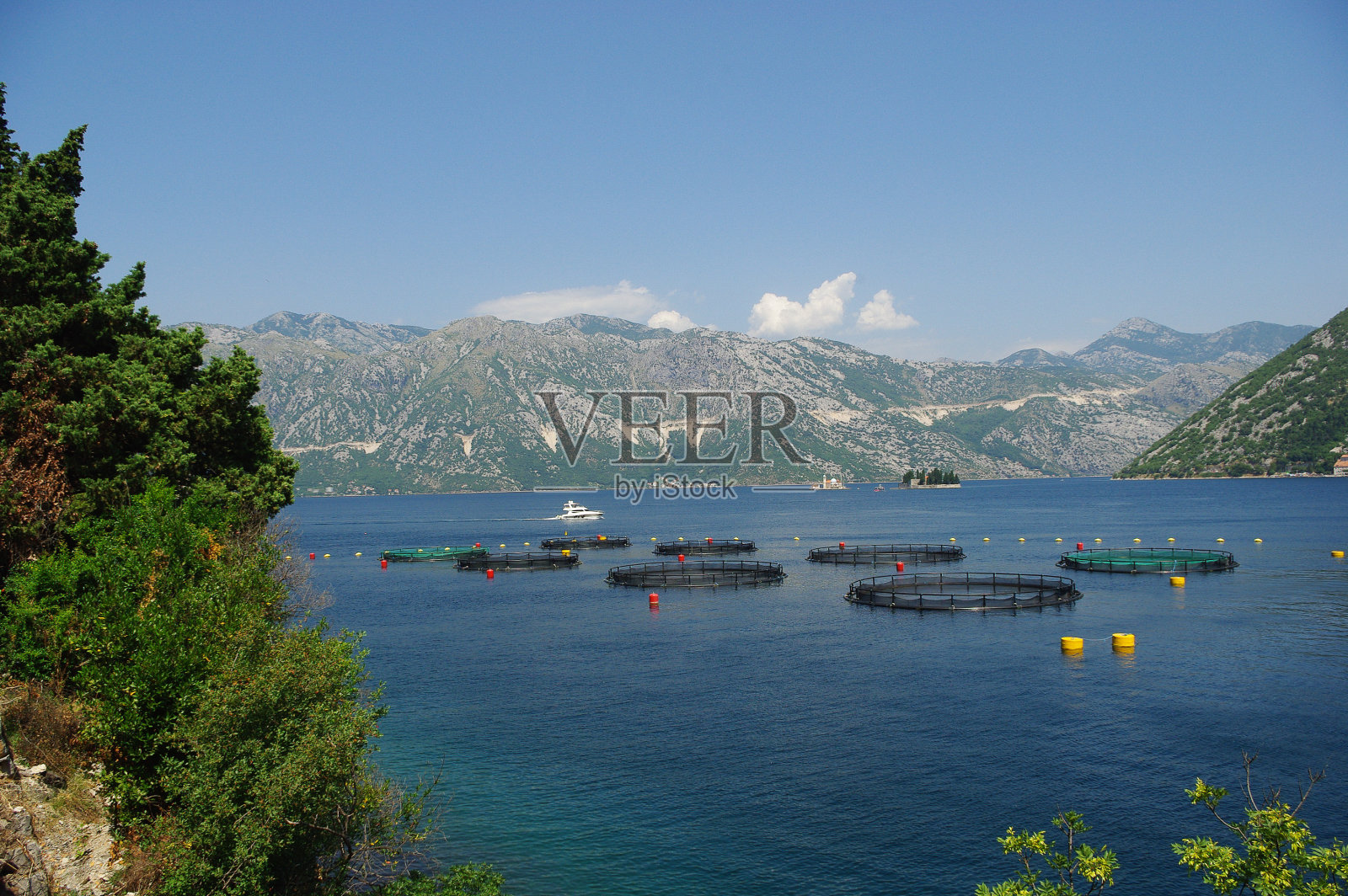 科托尔湾的鱼塘照片摄影图片