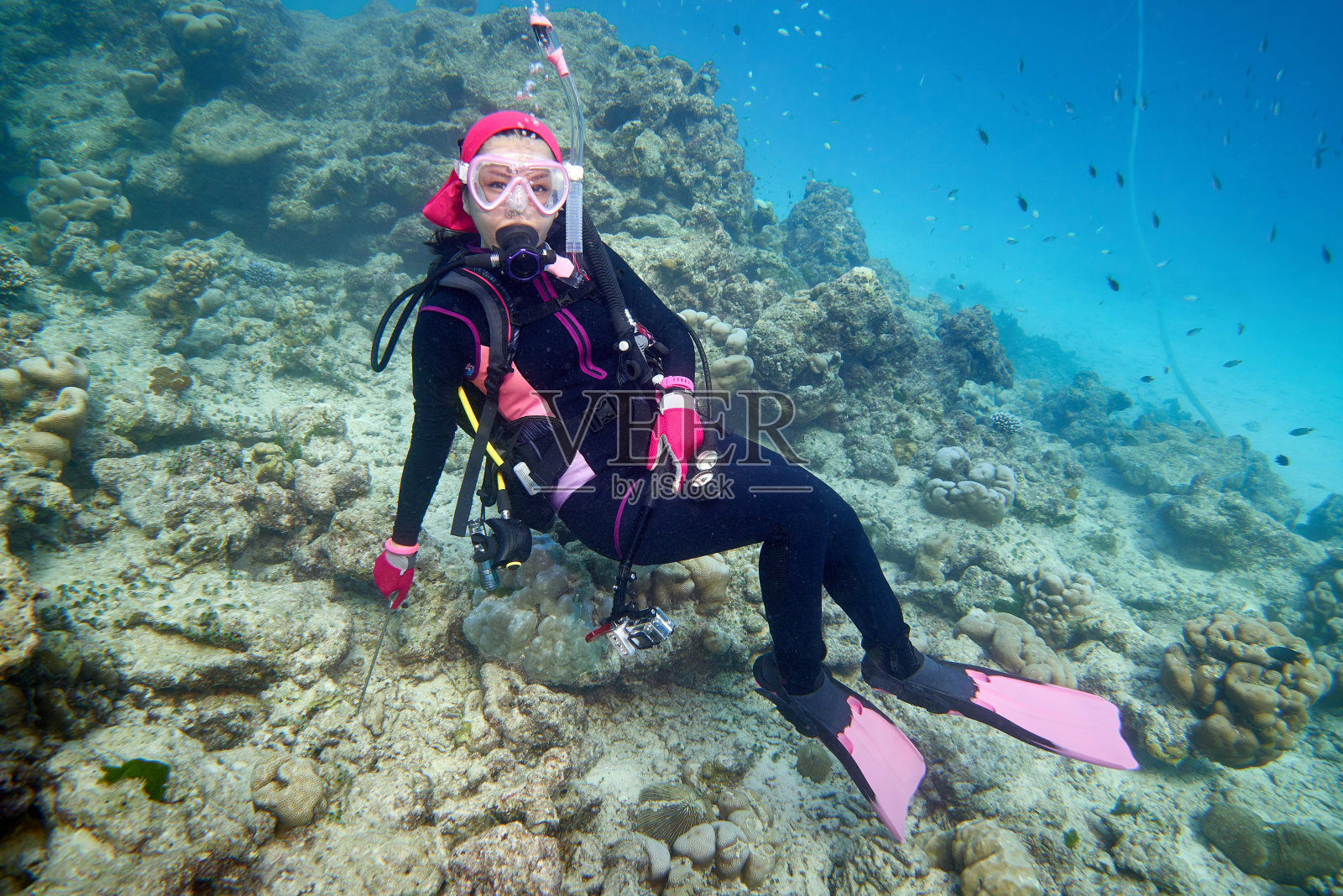 水下照片摄影图片