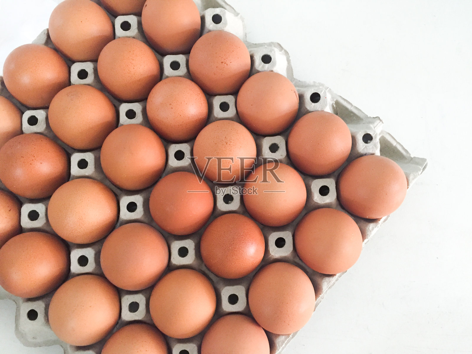 新鲜的鸡蛋照片摄影图片