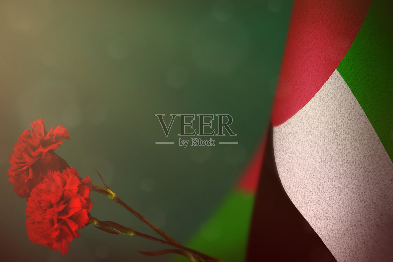 纪念退伍军人或阵亡将士纪念日的阿拉伯联合酋长国国旗，配有两朵红色康乃馨。在蓝绿色、海绿色深色天鹅绒上致敬阿拉伯联合酋长国战争英雄照片摄影图片