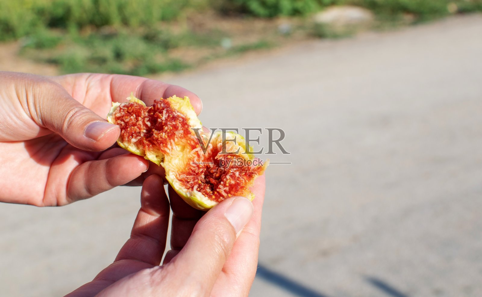 多汁的无花果。照片摄影图片