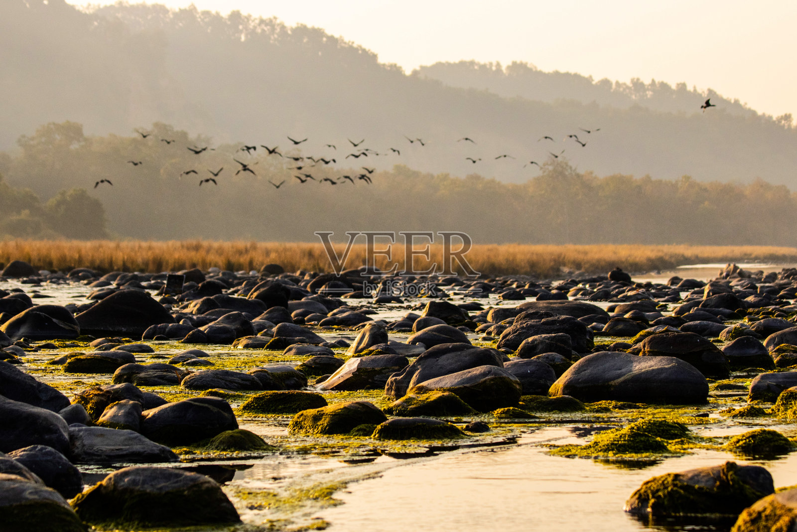 我的印度旅行照片摄影图片