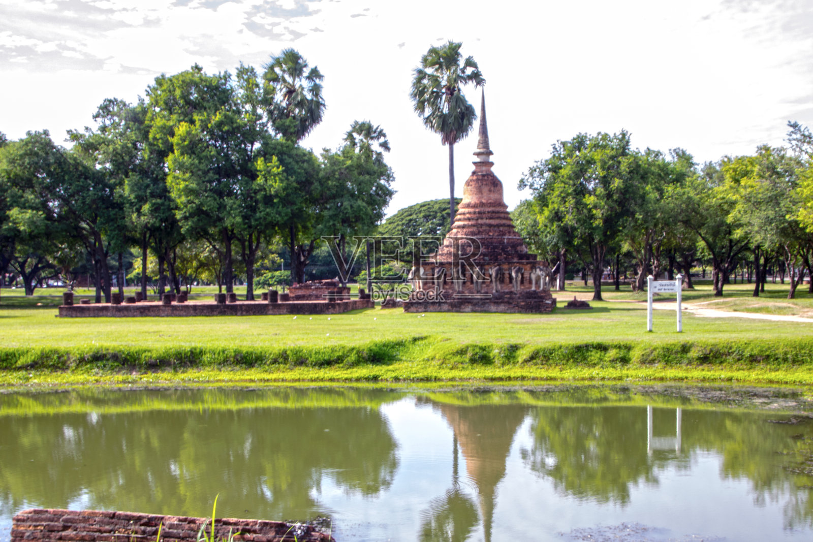 素照片摄影图片