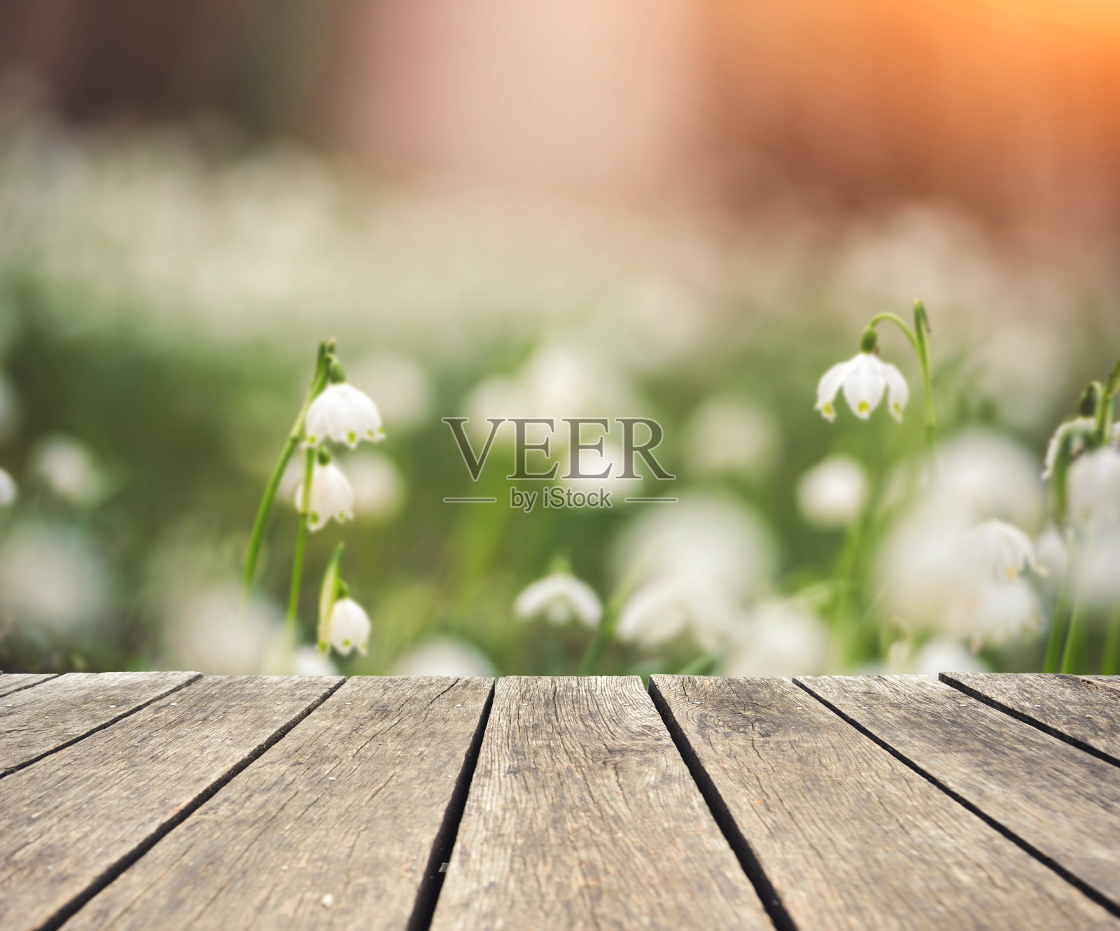 春天从阳台照片摄影图片