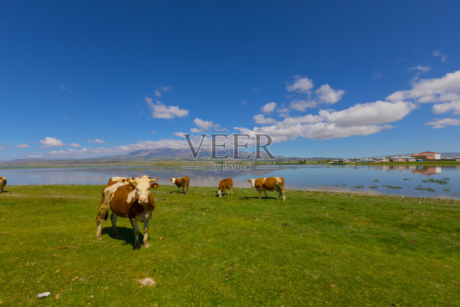 Adilcevaz湖和村庄照片摄影图片