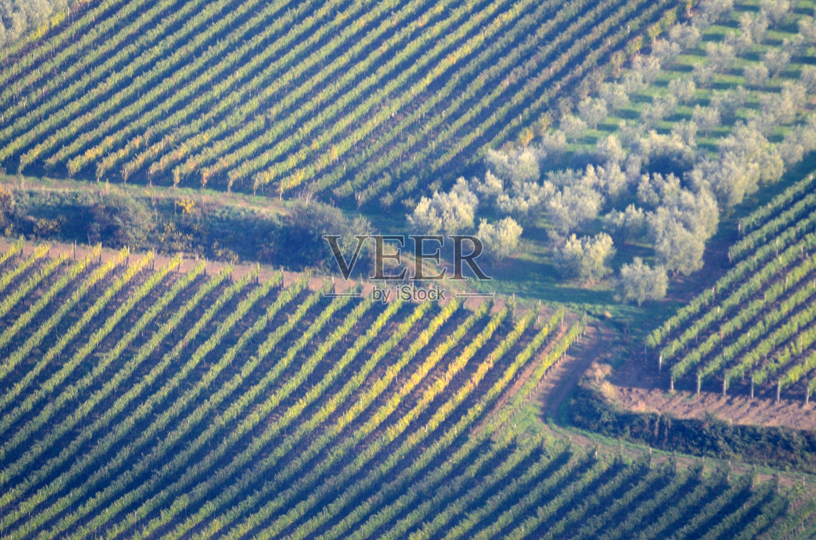 托斯卡纳照片摄影图片