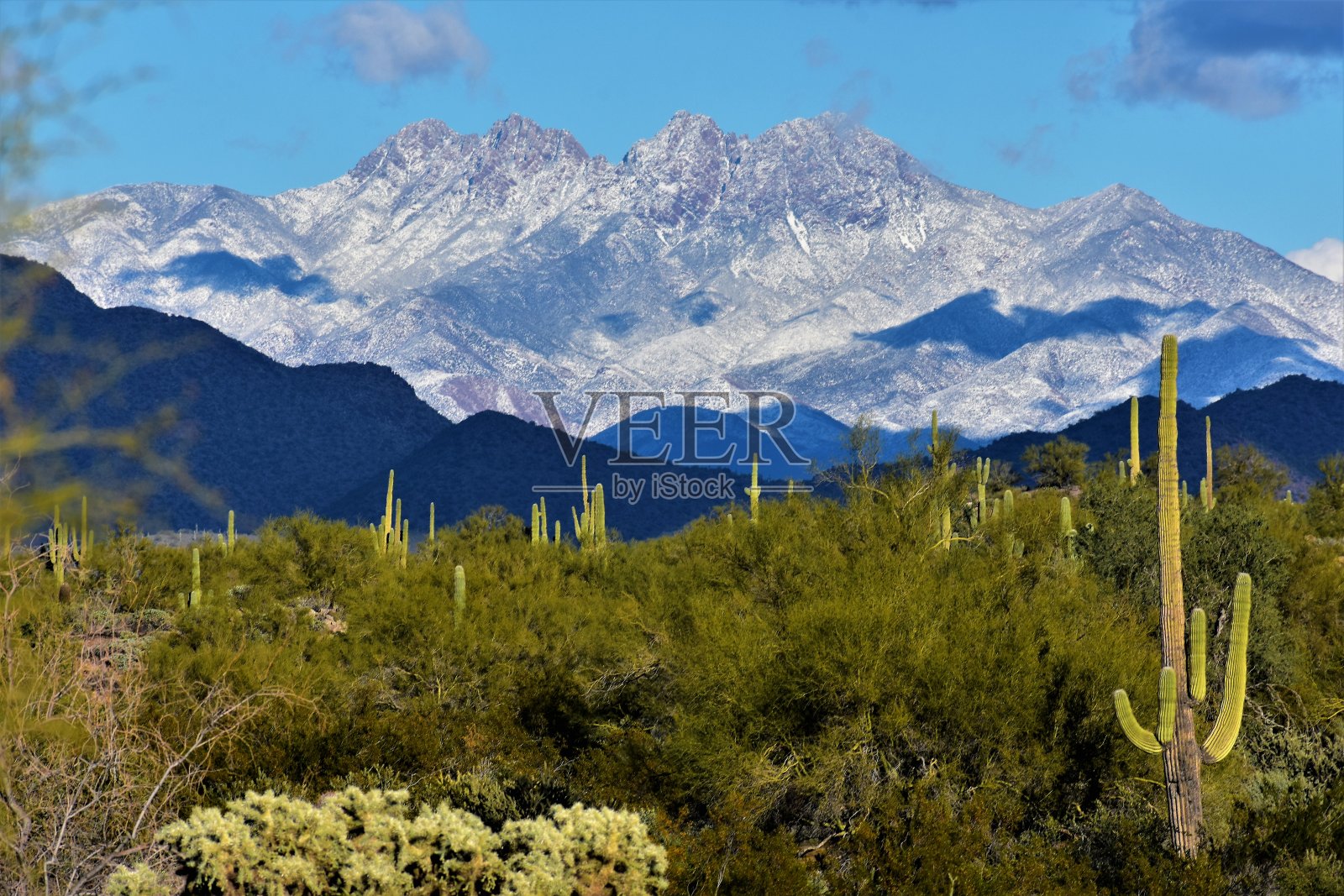 亚利桑那州梅萨市外的白雪覆盖的四峰和迷信山照片摄影图片