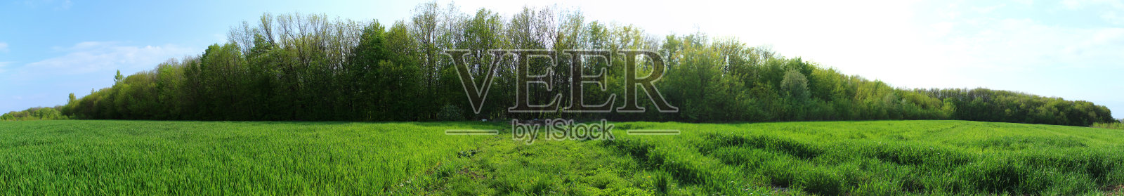 森林全景图照片摄影图片