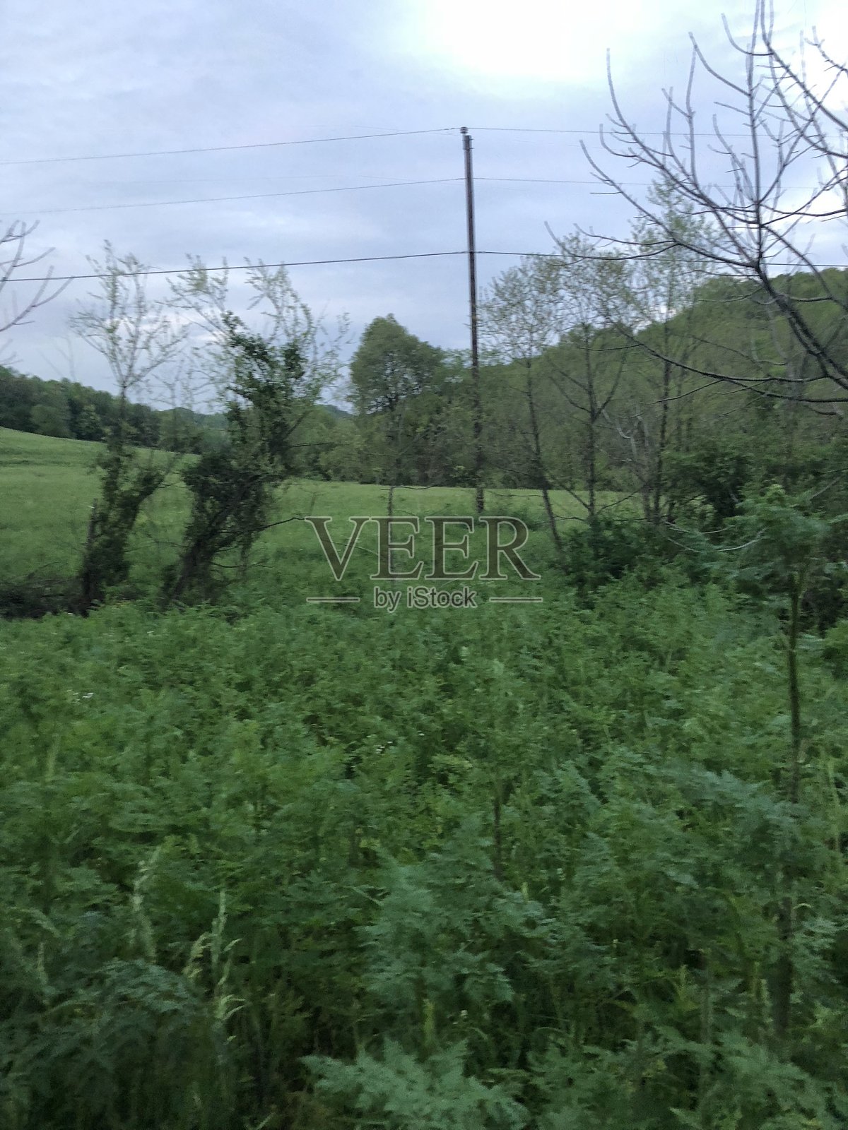 徒步旅行和孙子照片摄影图片